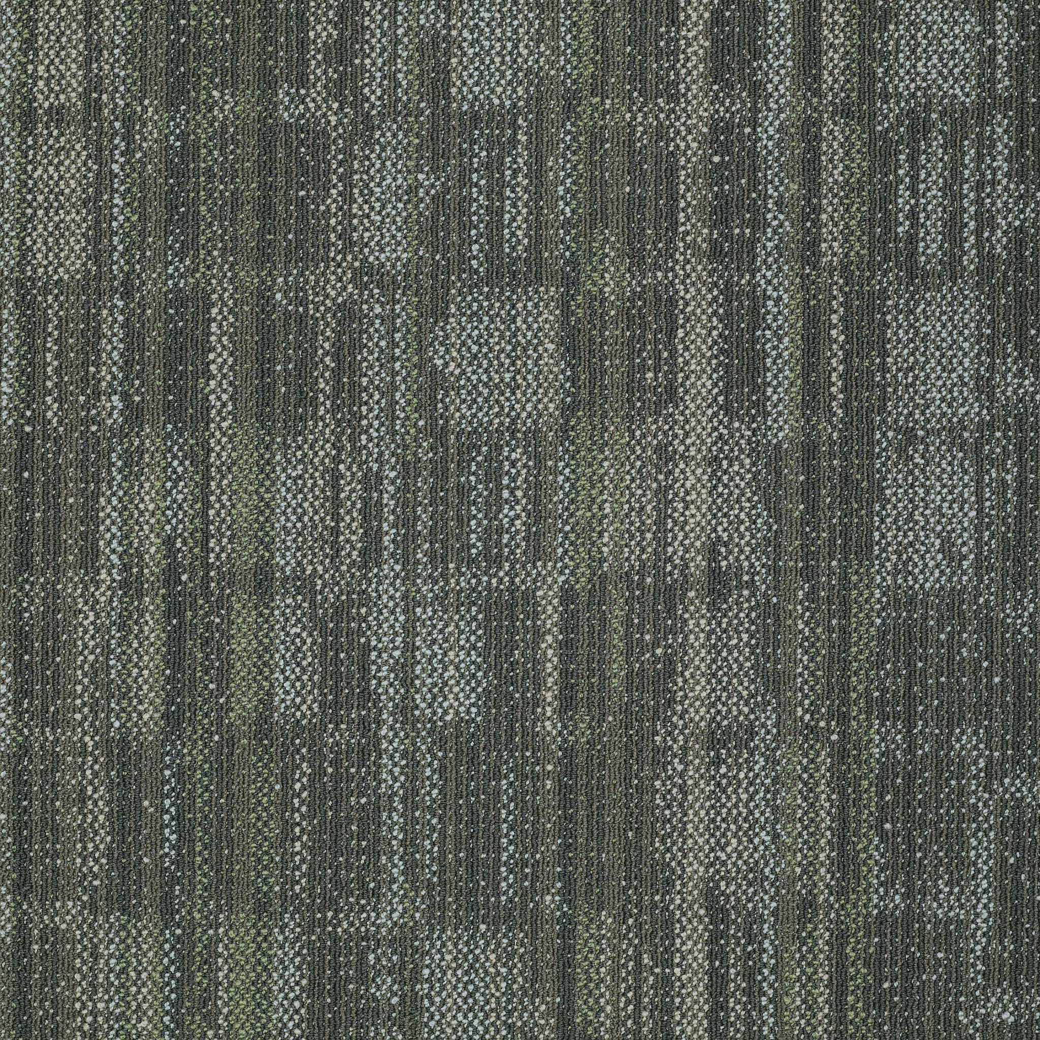 WONDER-54756-EMBRACE-TRUTH-00300-main-image