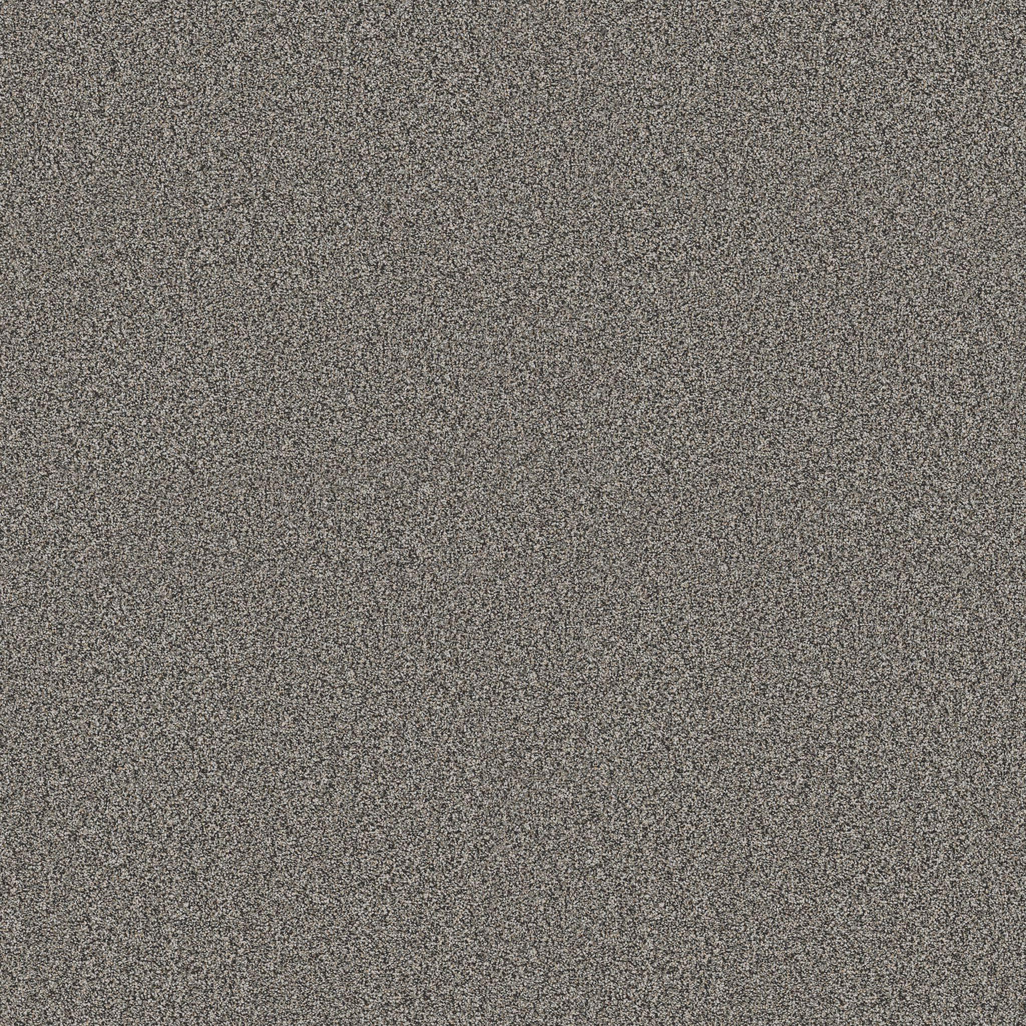 TIMELESS TONE BLUE AFTER DARK MAIN