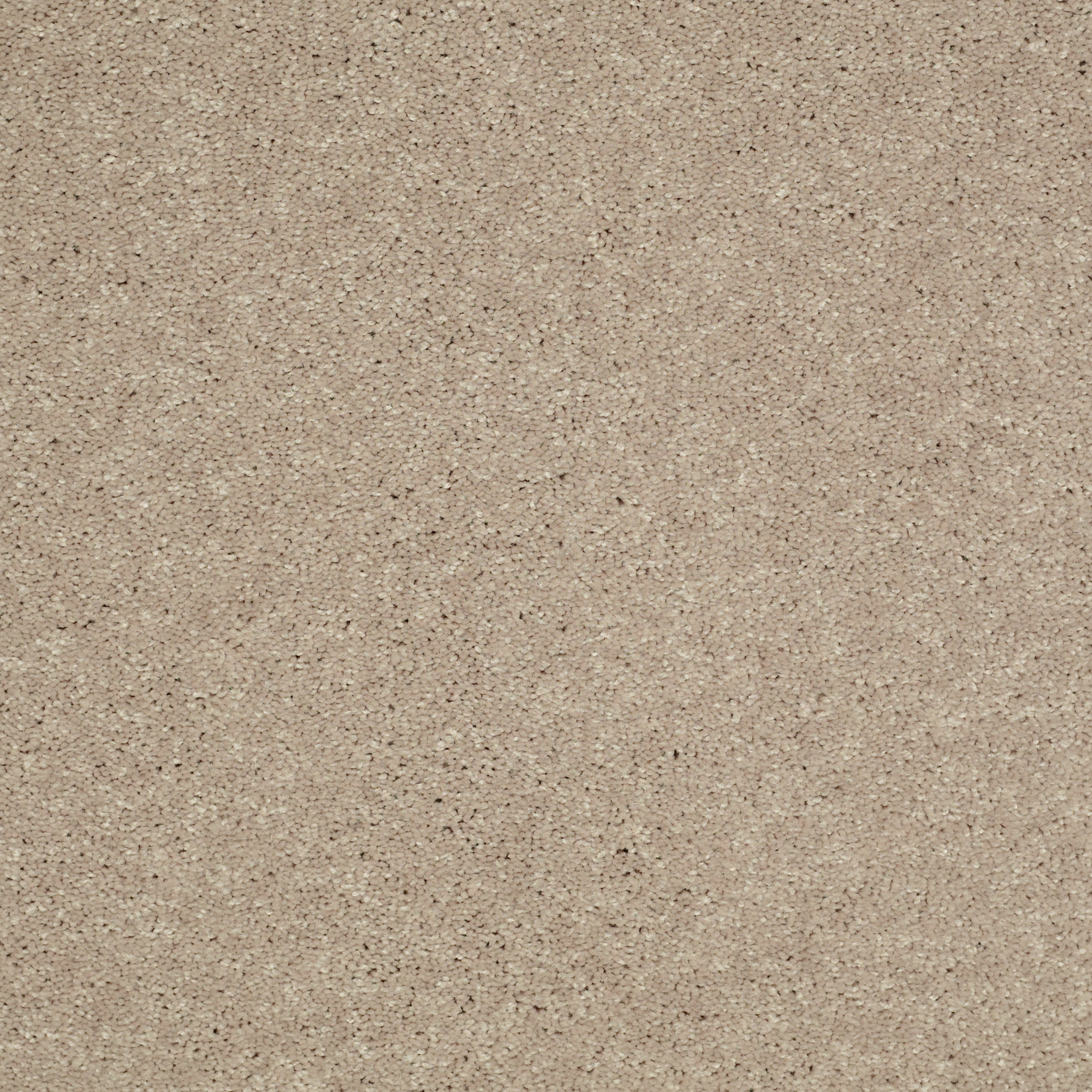 STEP RIGHT UP II 12' SANDY NOOK MAIN