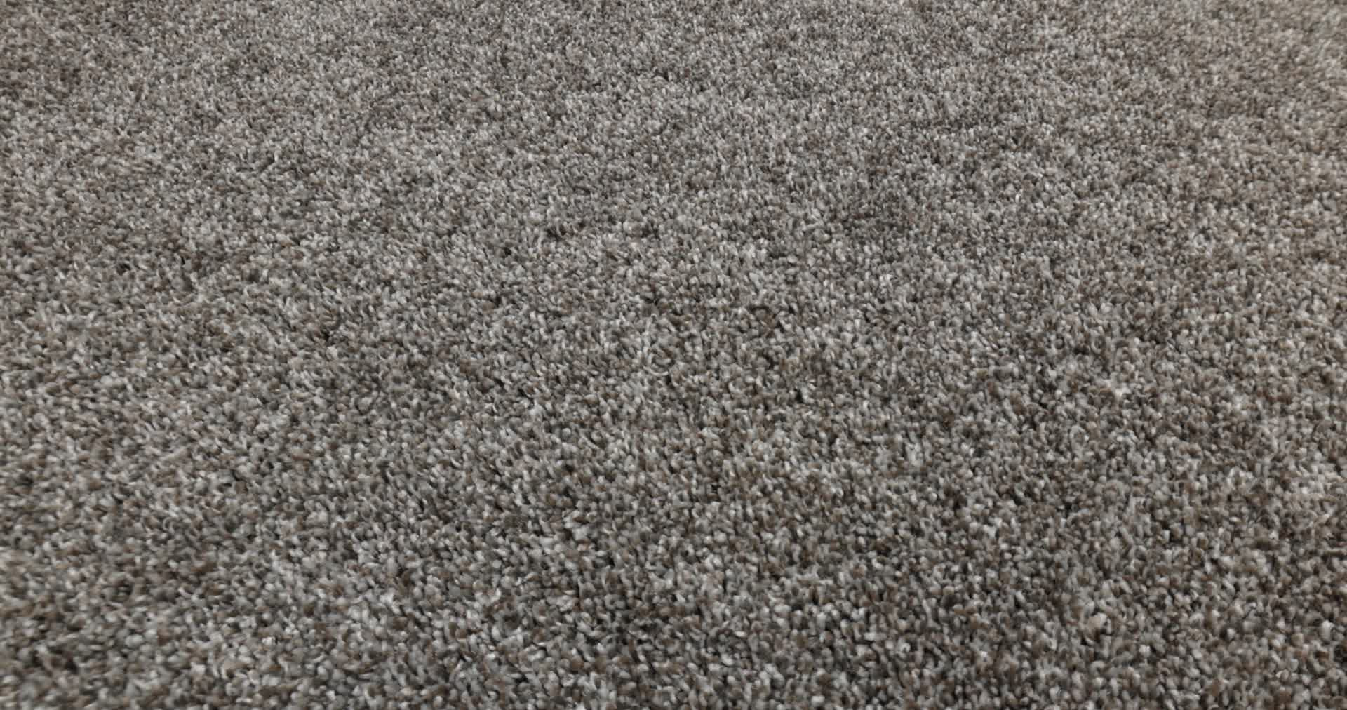 REMIXED CLASSIC NATURE TRAIL 360PROD