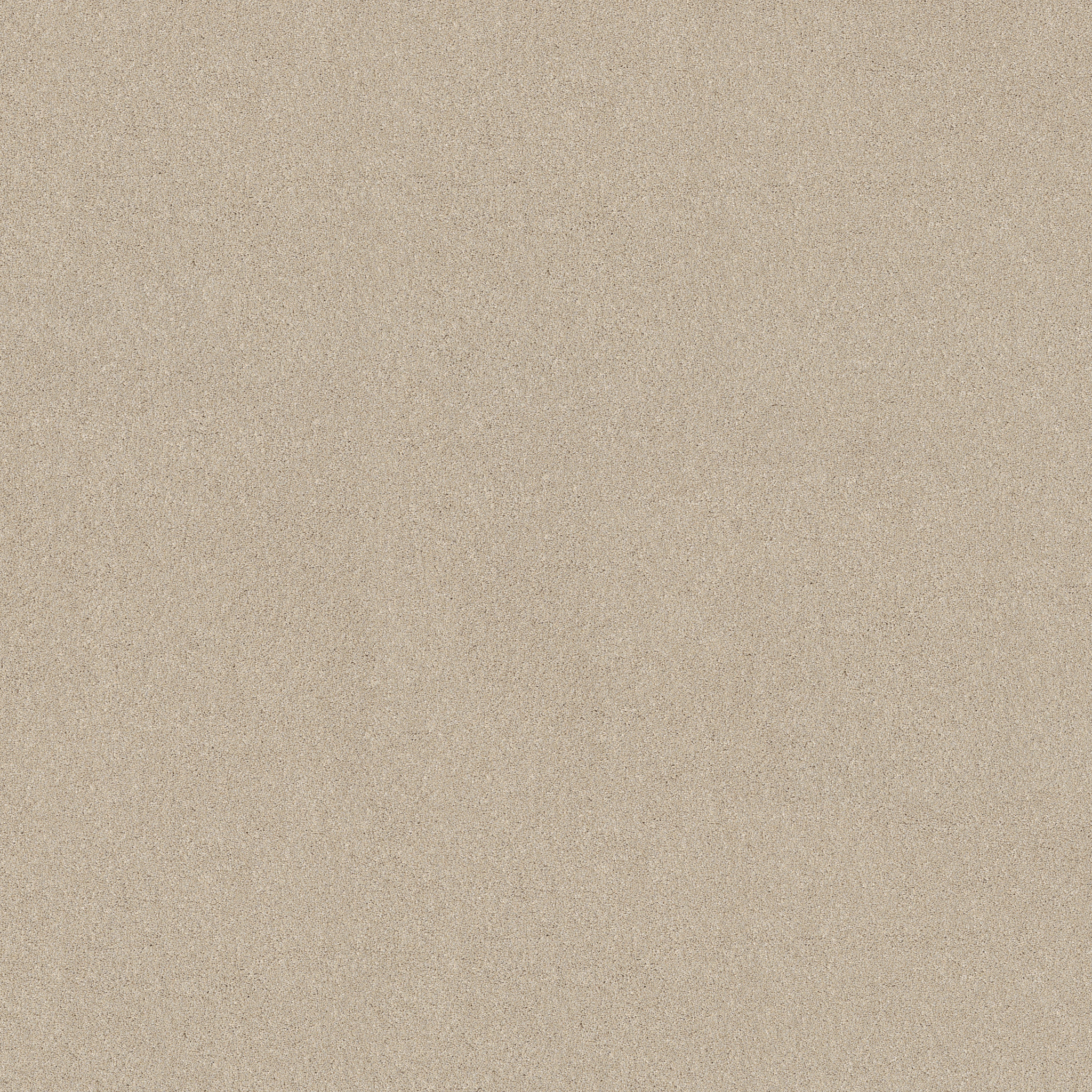 NEW MEMORIES T DUNE VIEW MAIN