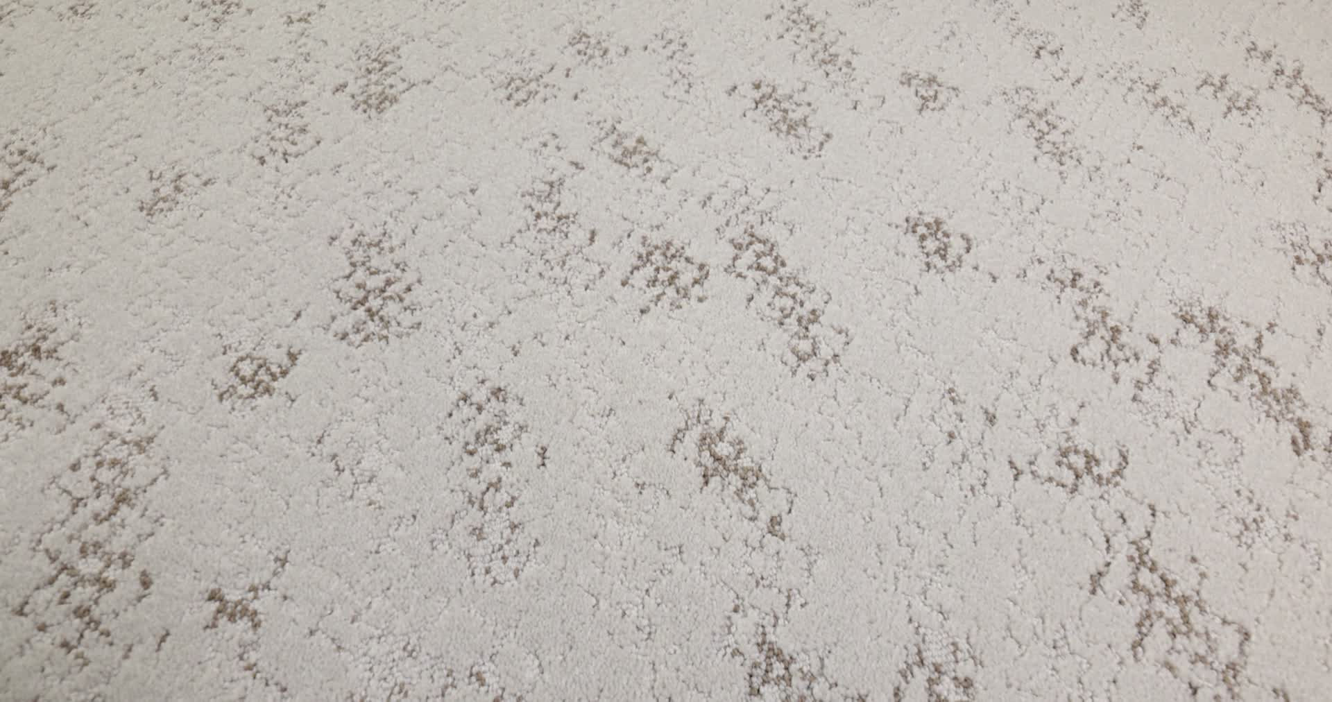 EVOKE GREY FOX 360PROD