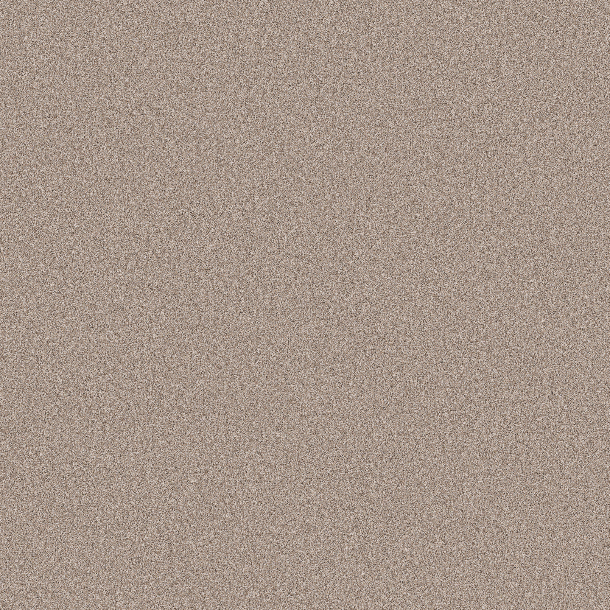 PURE AFFECTION T BAJA MAIN