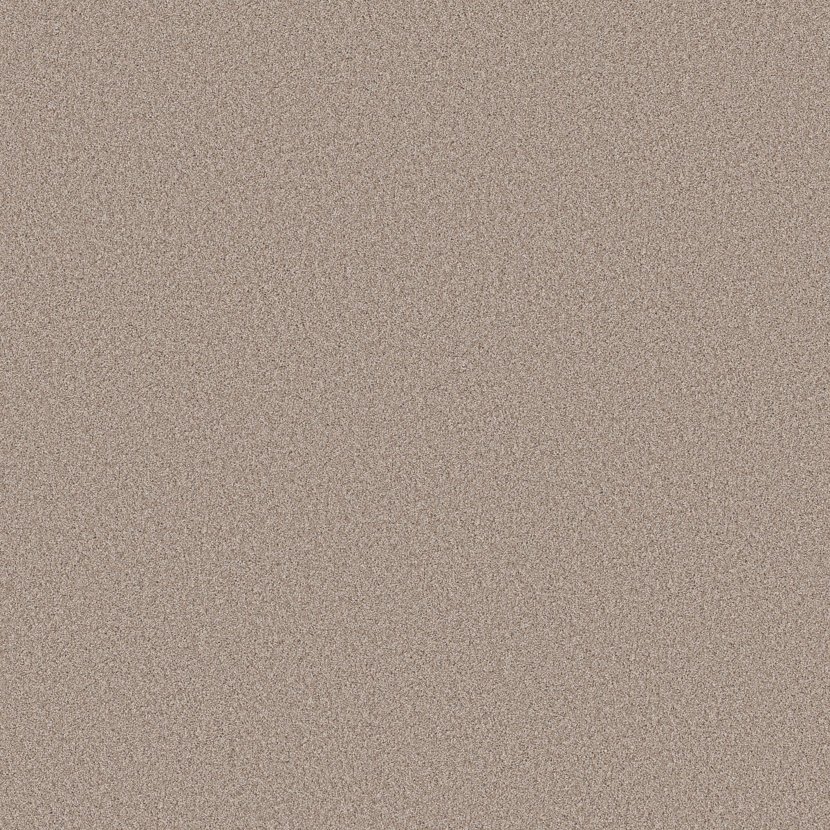 Shaw Floors PURE AFFECTION T — BAJA