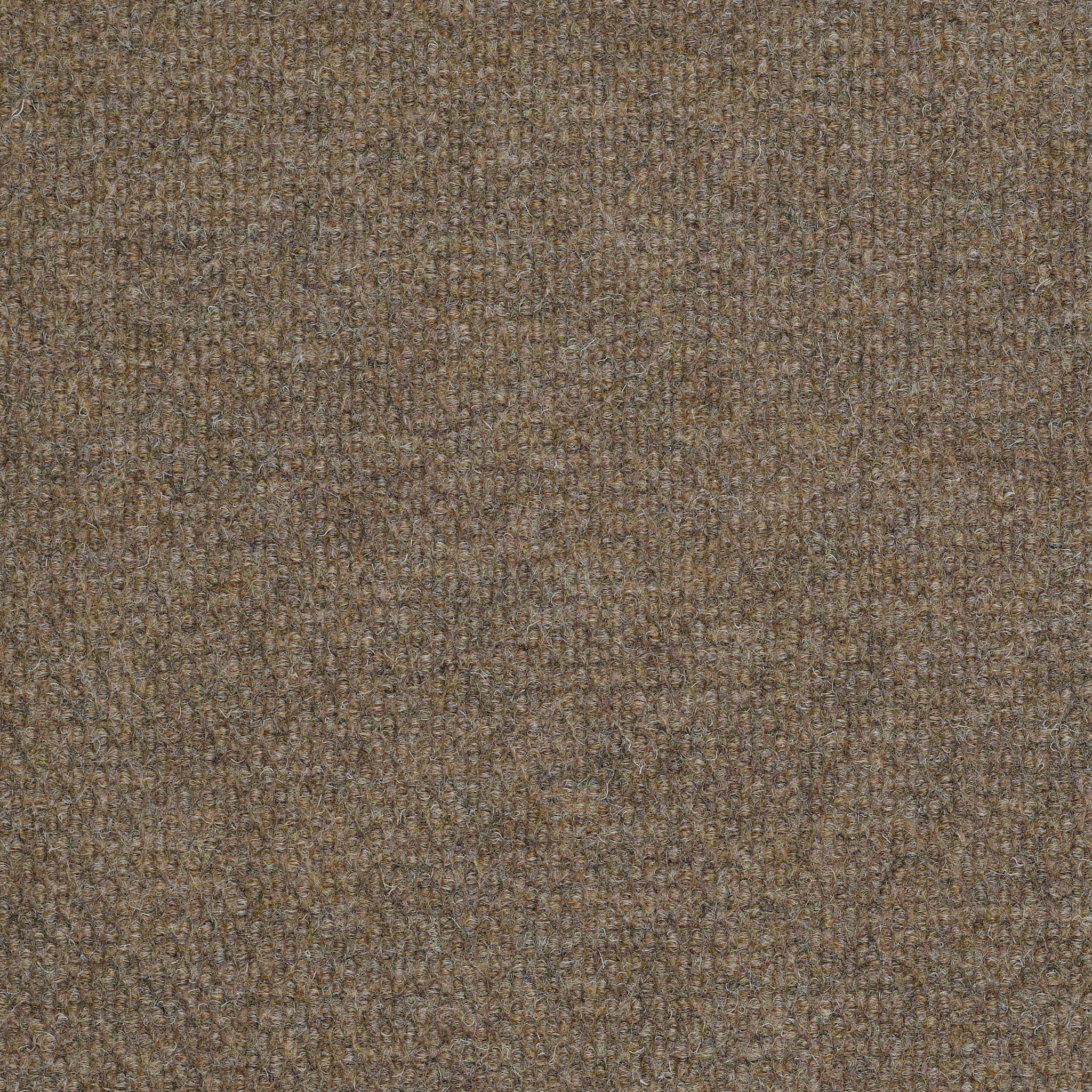 SUCCESSIONII-BL-54694-SIERRA-SAND-00700-main-image