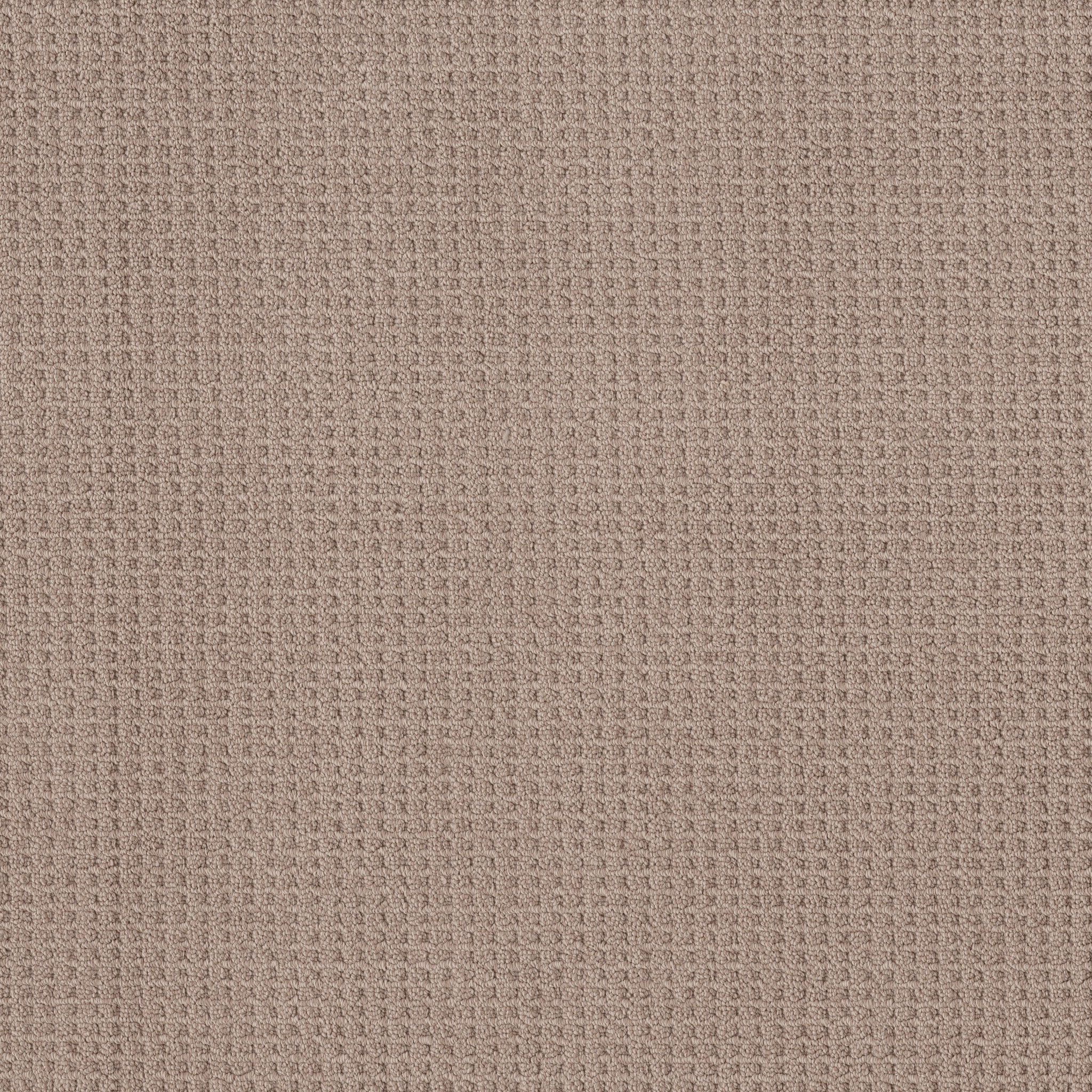 FAINT INTENT RAW WOOD MAIN