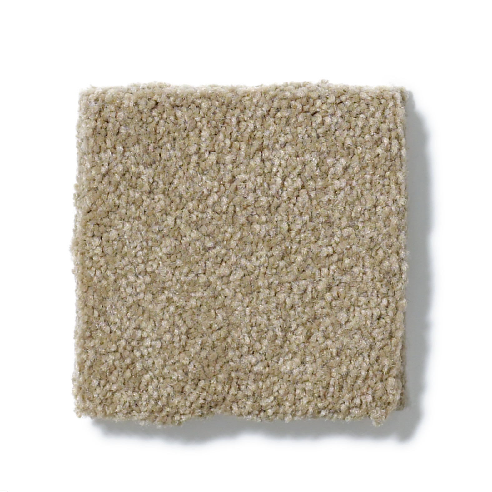 SANDY HOLLOW CLASSIC III 12' CHINCHILLA SWATCH