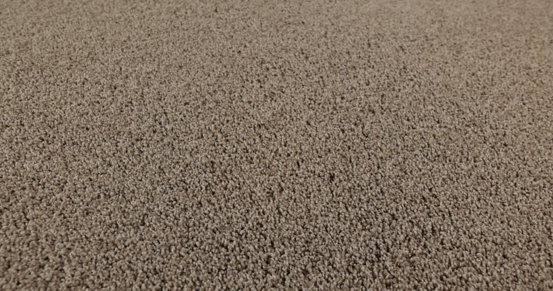 PARK HAVEN CANOE 360PROD