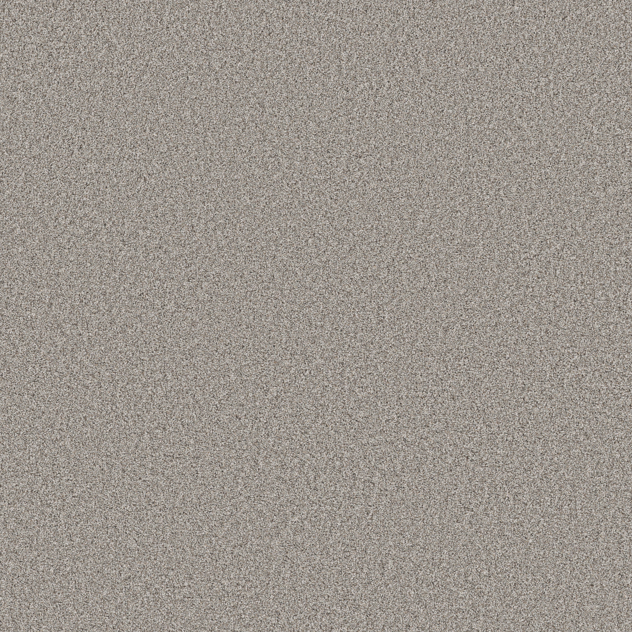 TIMELESS TONE BLUE MAGNETIC MAIN