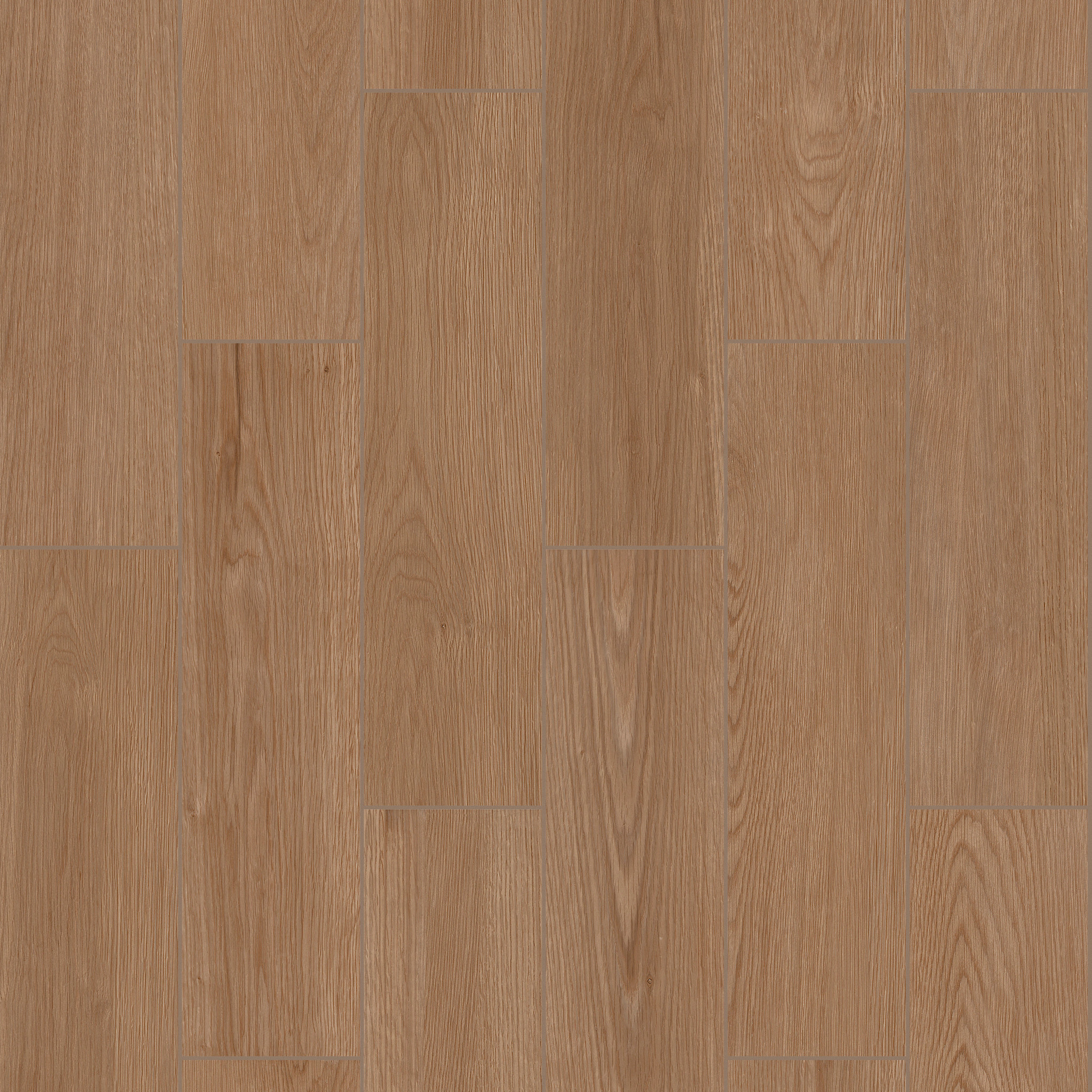 OVERLAND 6X24 SAVANNA MAIN