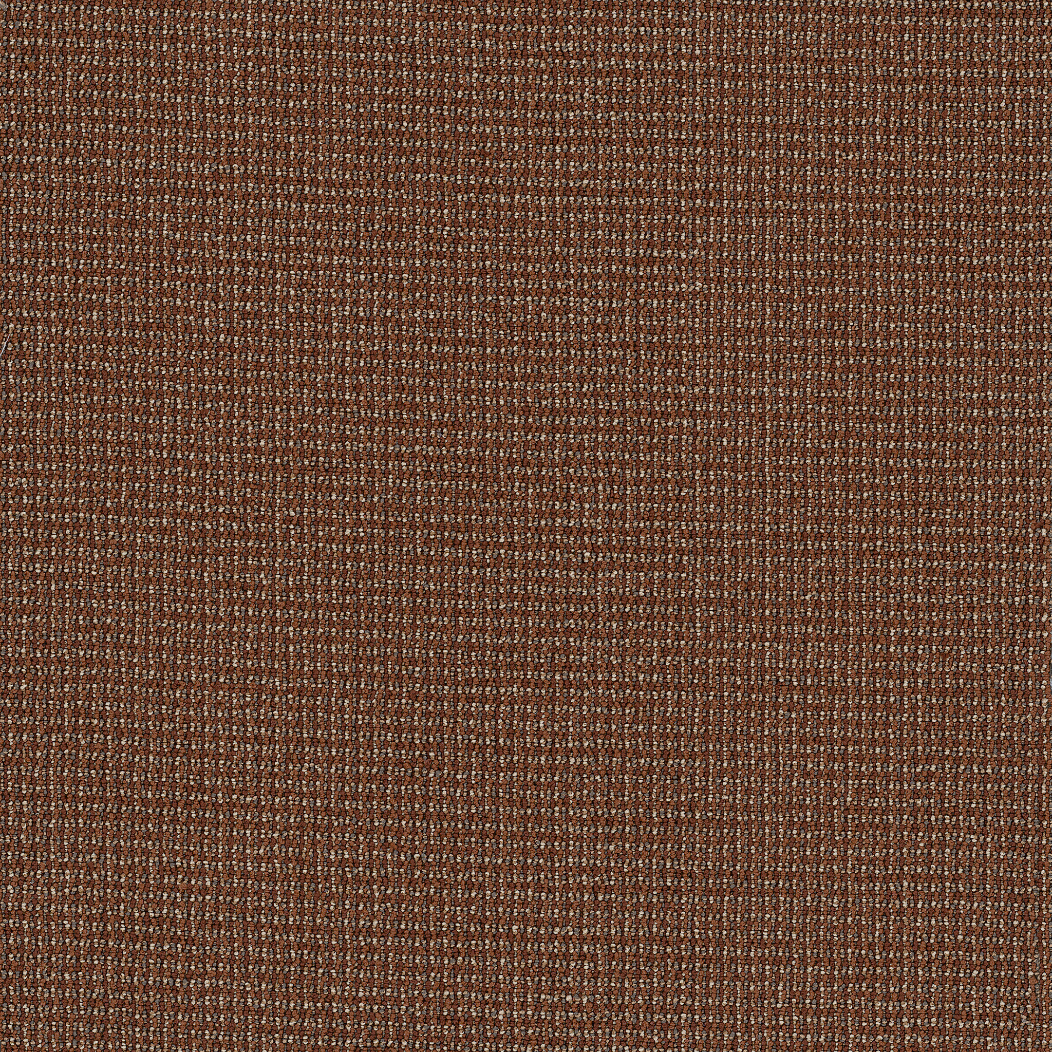 DATELINE-TODAY-54823-IN-DEPTH-00840-main-image