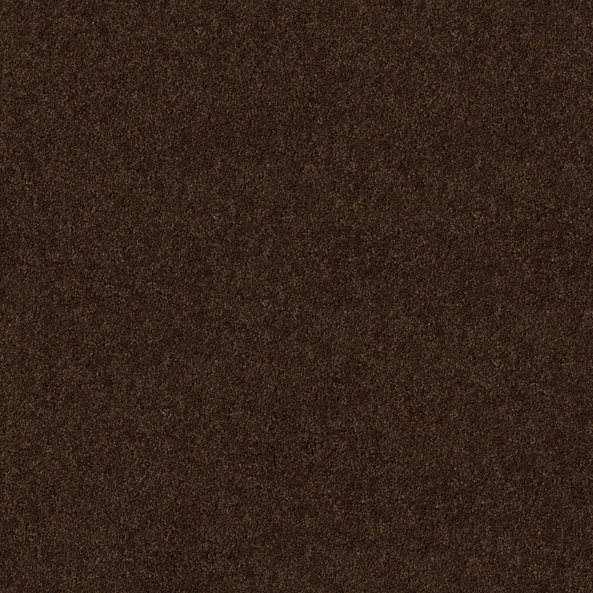 BREAK AWAY - SOLID COFFEE BEAN MAIN
