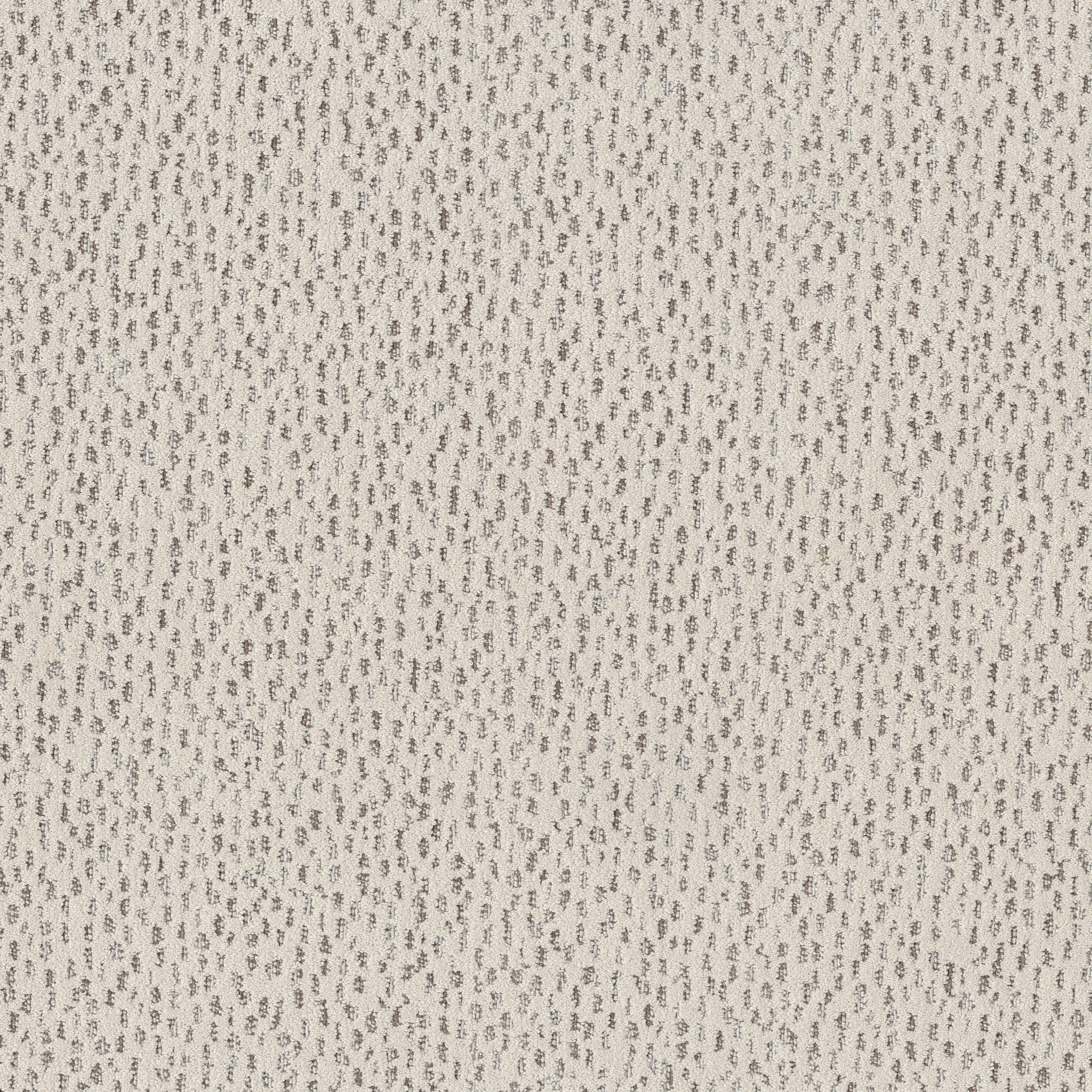 AMBITIOUS CANVAS MAIN