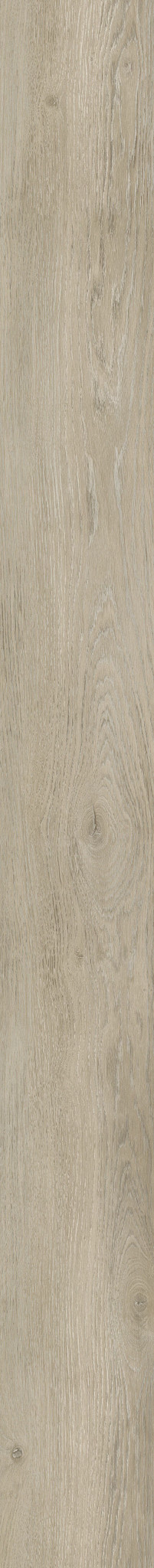 BALTIMORE OAK 95 1TO1