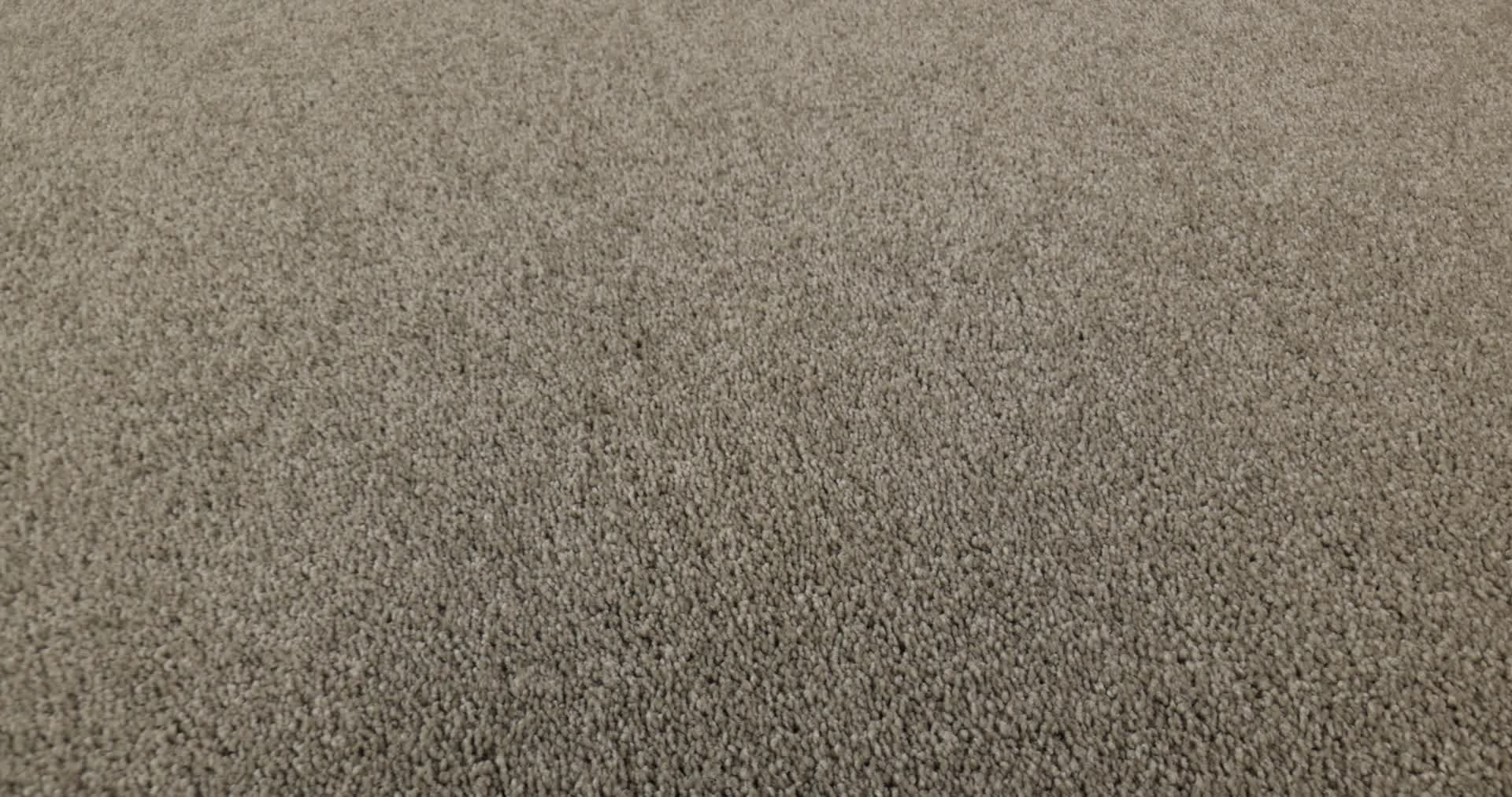 LOOK FORWARD RADIANCE 360PROD