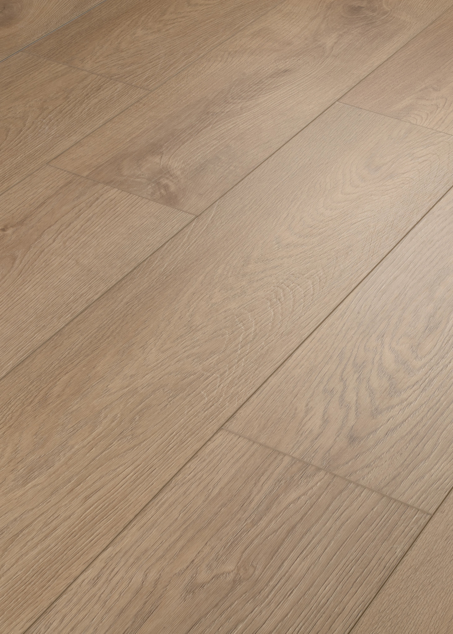 FRESH TAKE WINGBACK BROWN ANGLED