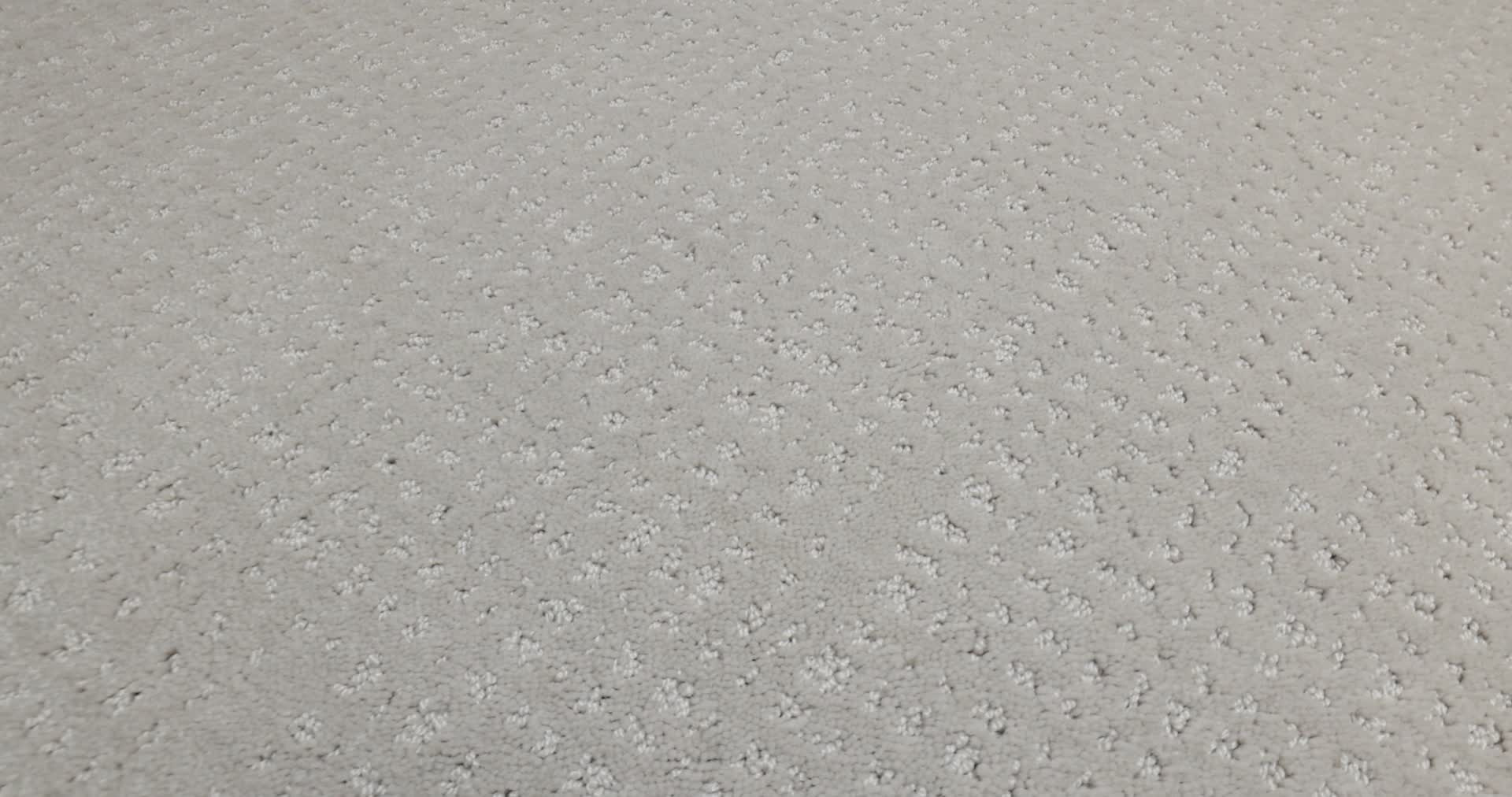 VIVID MEMORIES SHORELINE HAZE 360PROD