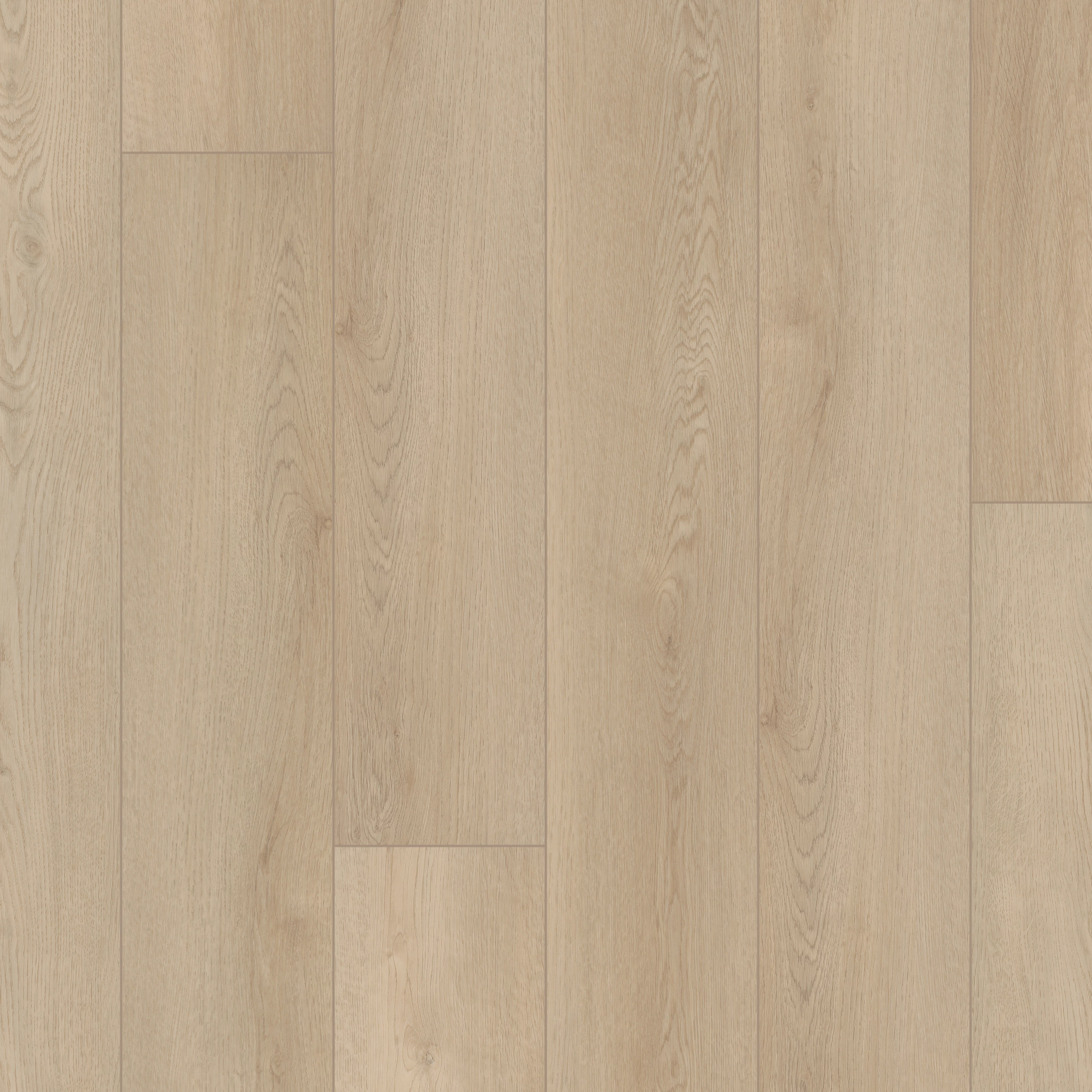 STARTING LINE SUNLIT BEIGE MAIN