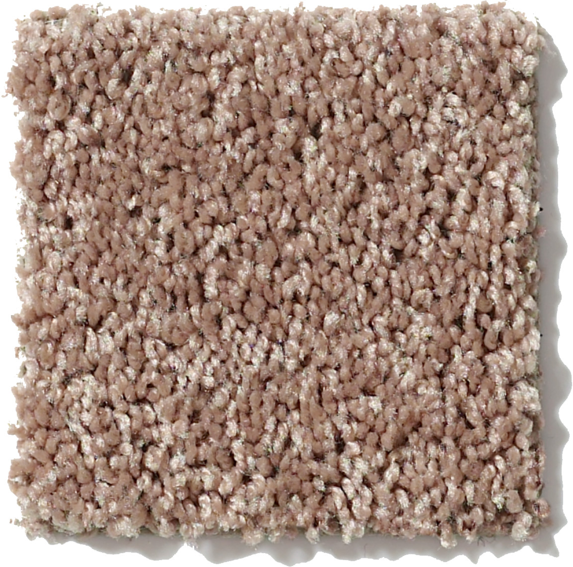 ROYAL PORTRUSH III 15' TAFFY SWATCH