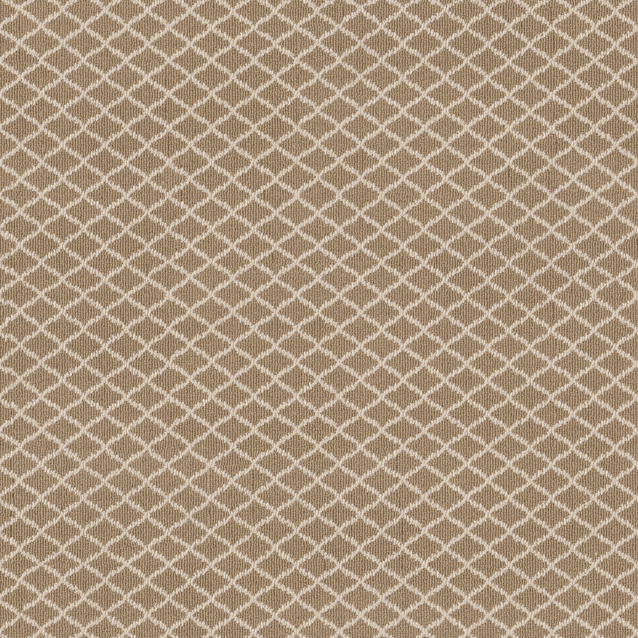 SPRINGER'S POINT TWILIGHT GOLD MAIN