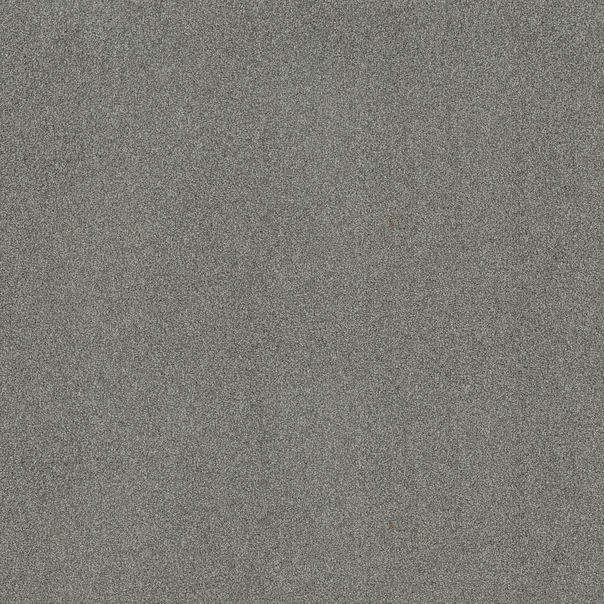 ALWAYS MINE CLASSIC STONE MAIN