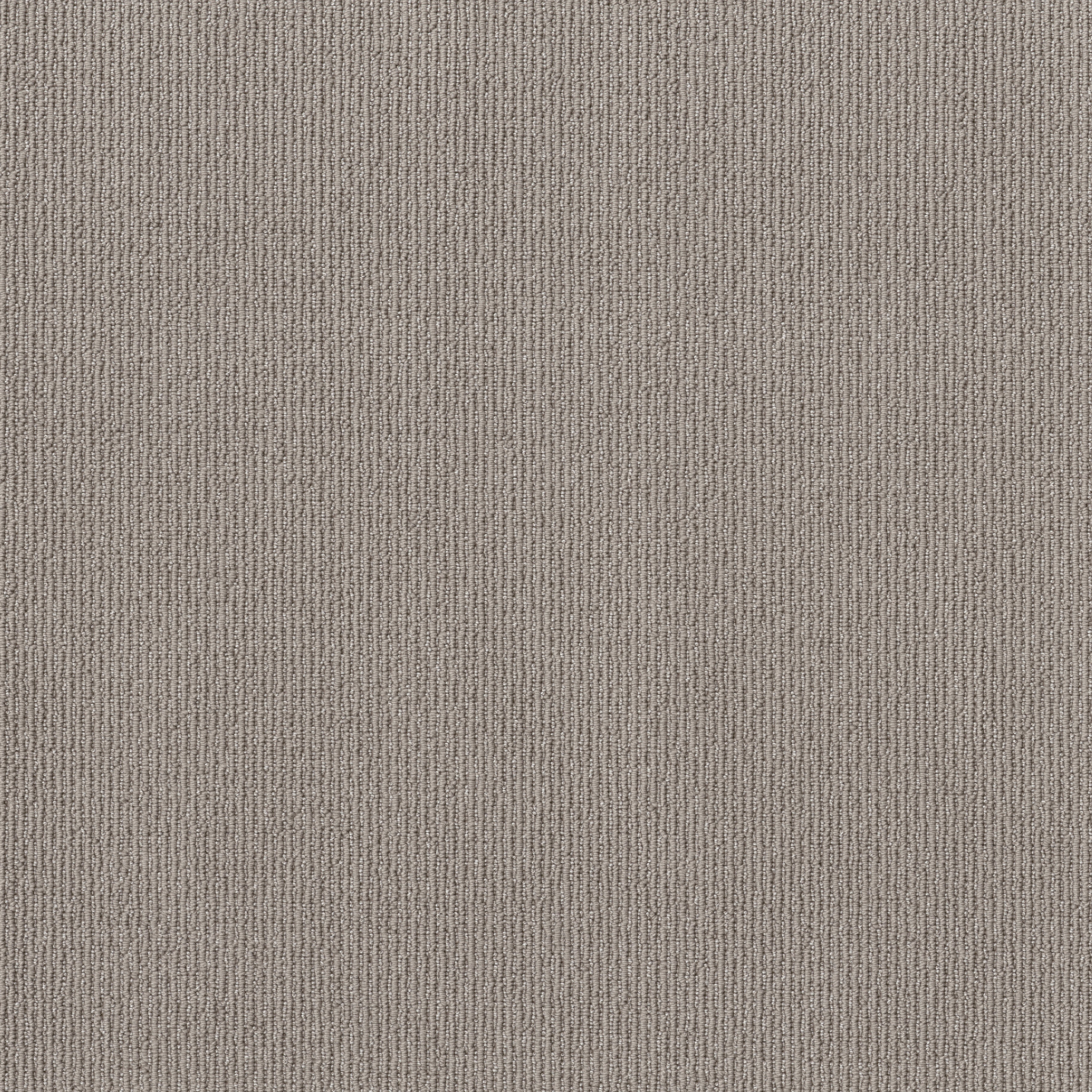 FEISTY AIRCRAFT MAIN