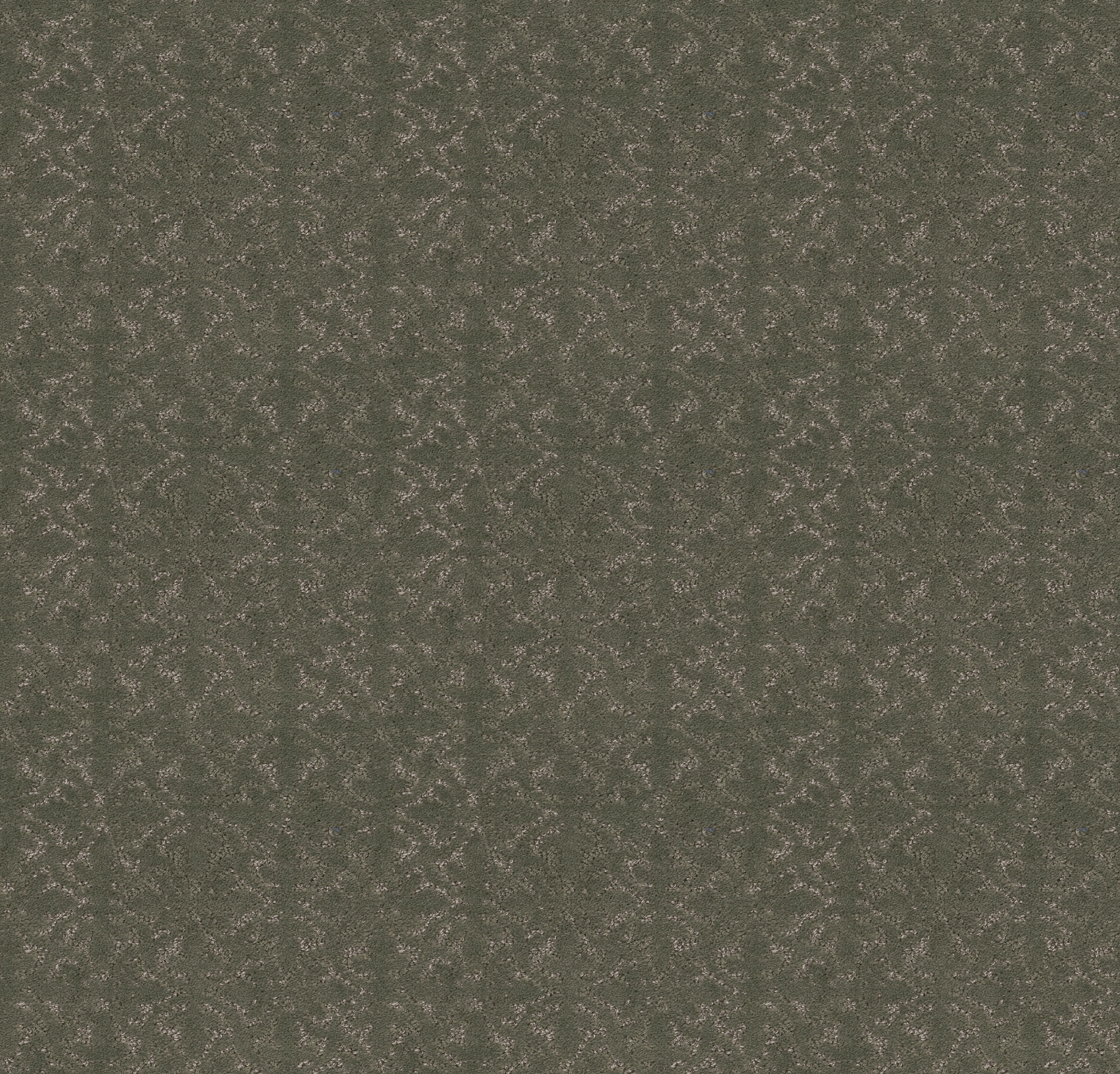 LIGHT IMPRESSIONS REROOTED NATURE MAIN