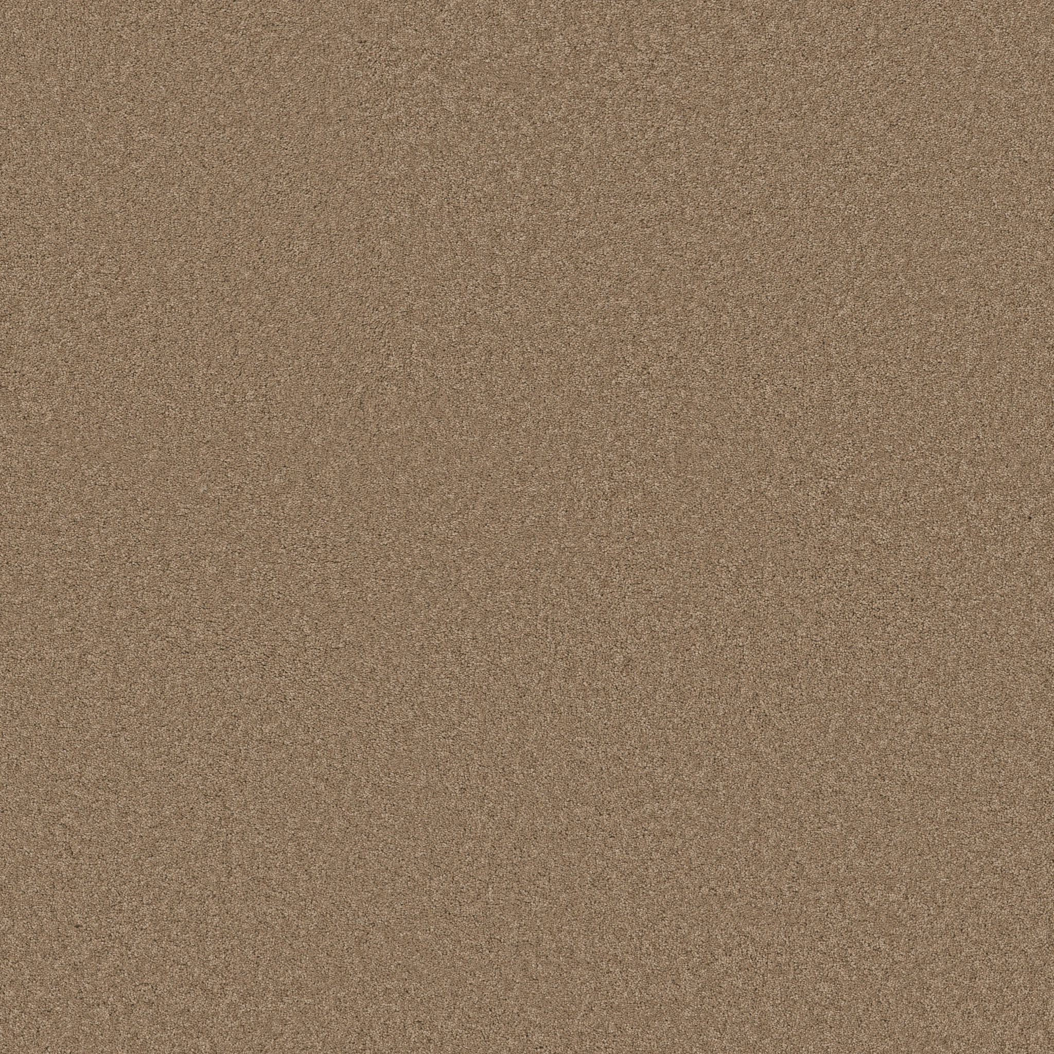 ELEGANT BEAUTY PRAIRIE MAIN