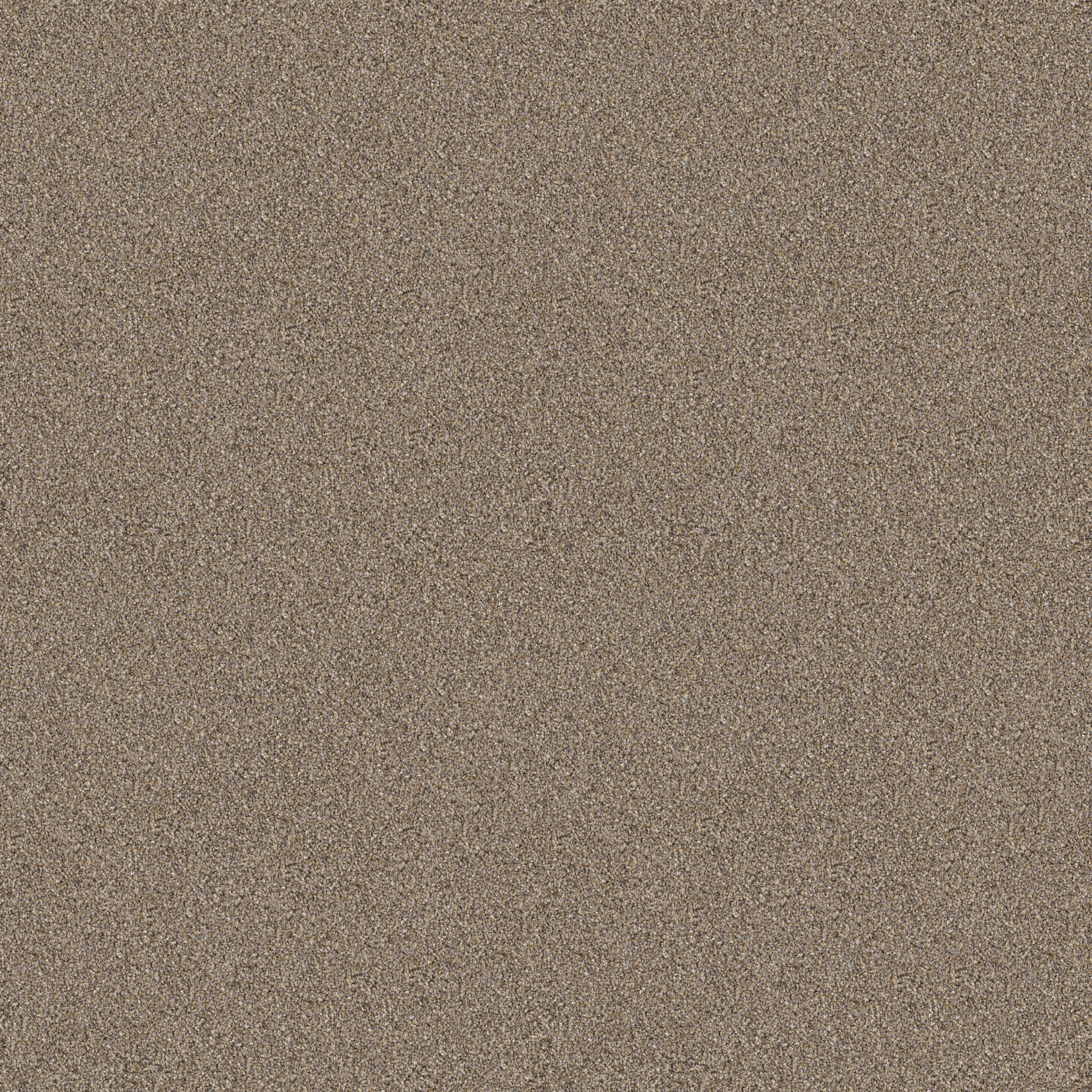 INFLUENCER RAW WOOD MAIN