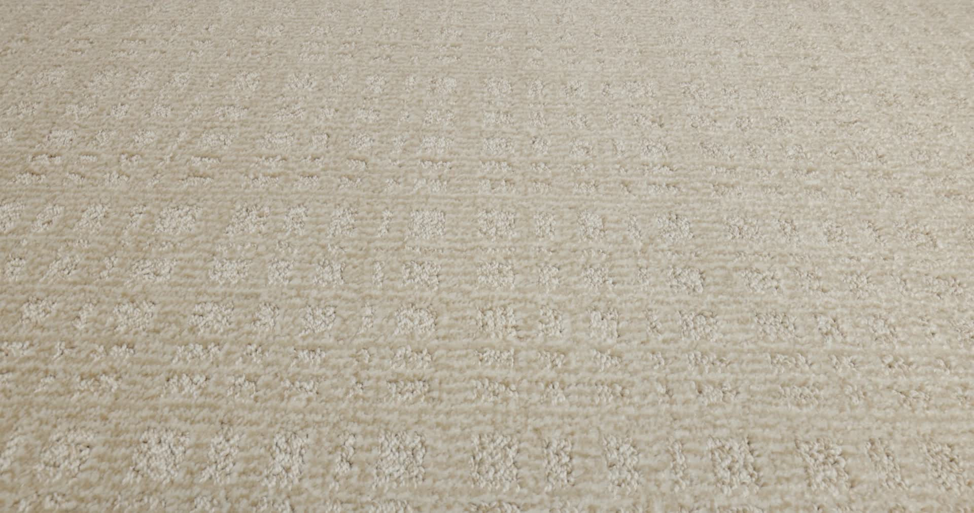 PURRSUASION BLONDE 360PROD