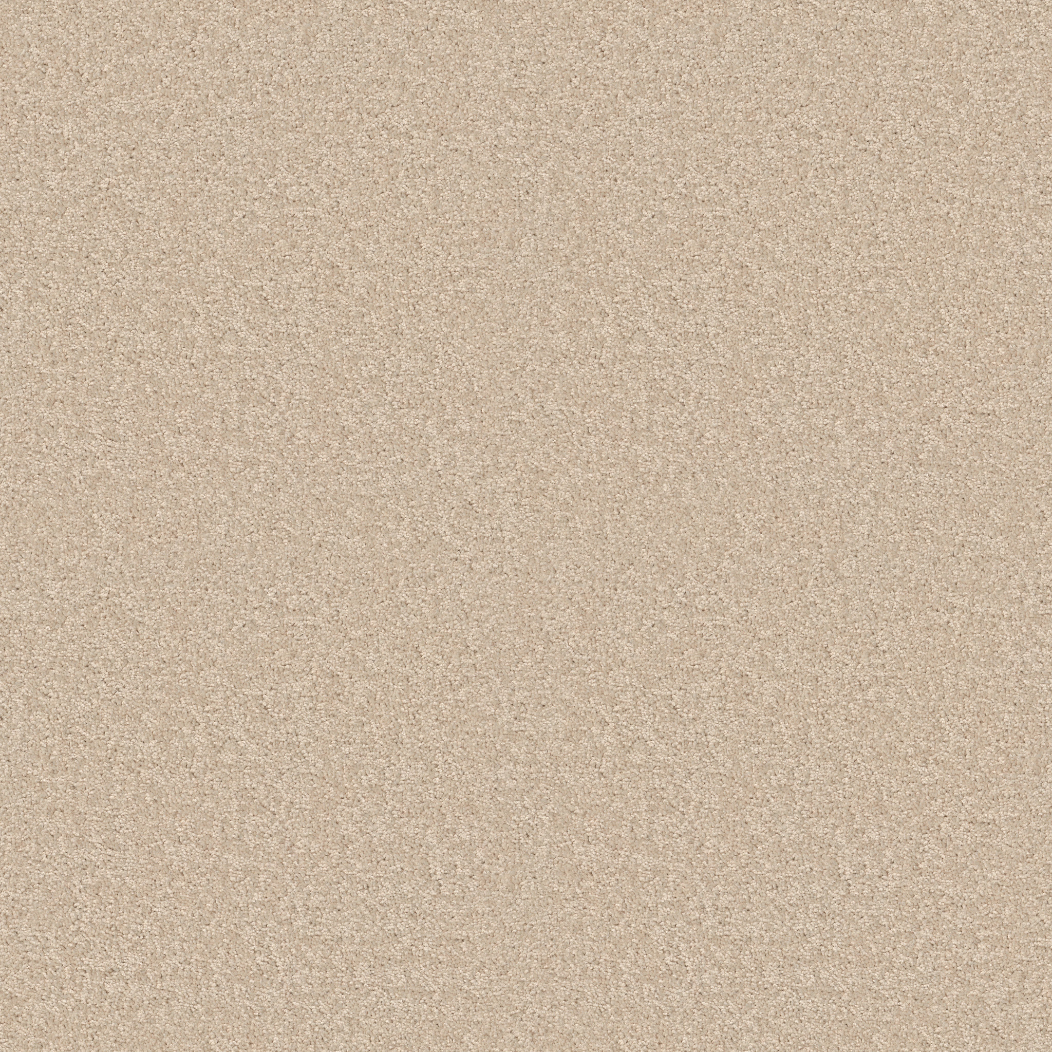 LACONA 15' VANILLA CUSTARD MAIN