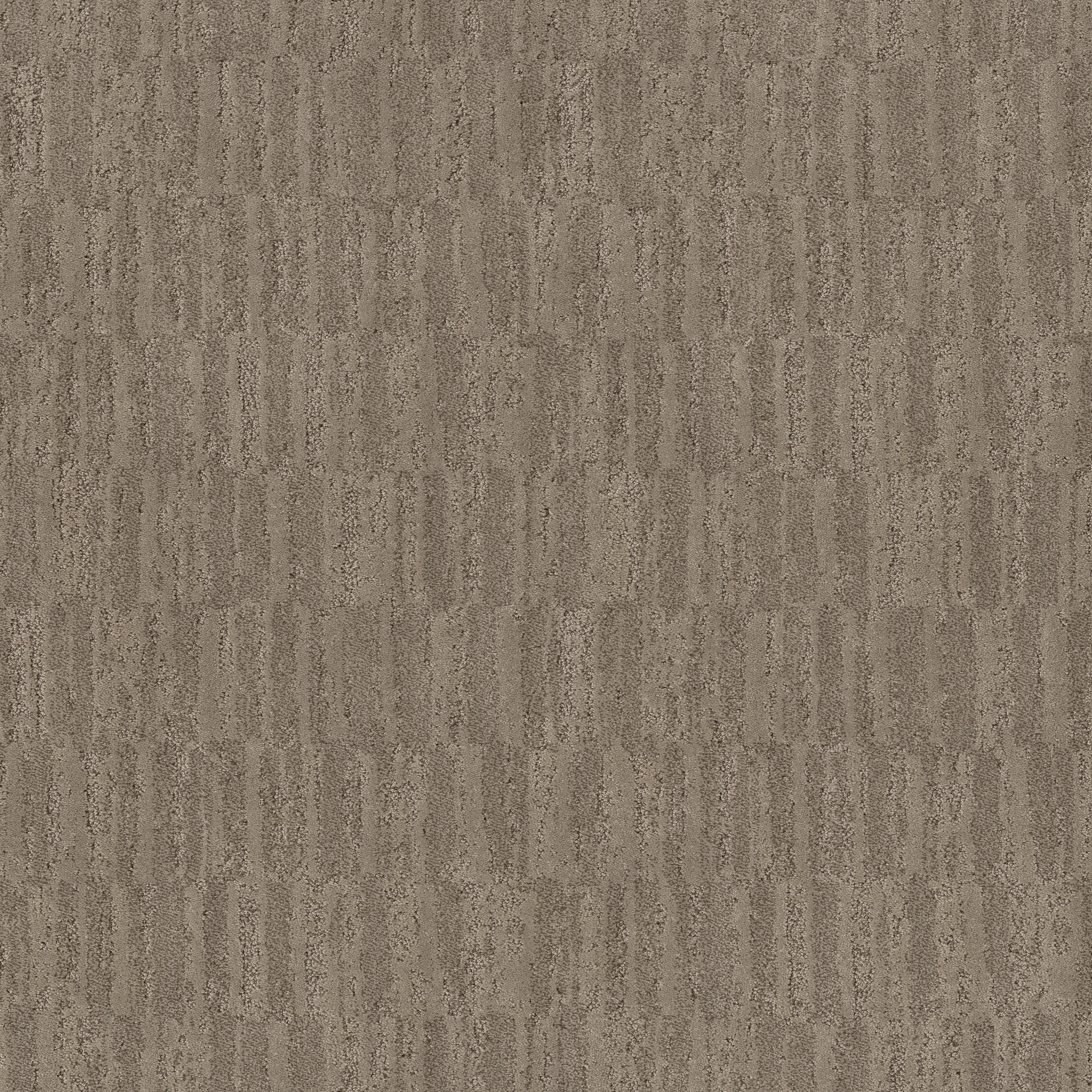 TRACE DRIFTWOOD MAIN