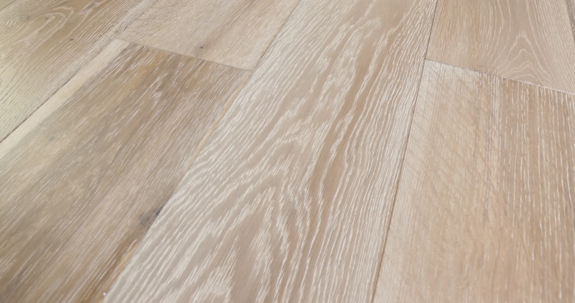 COAST TO COAST TIDEPOOL 360PROD