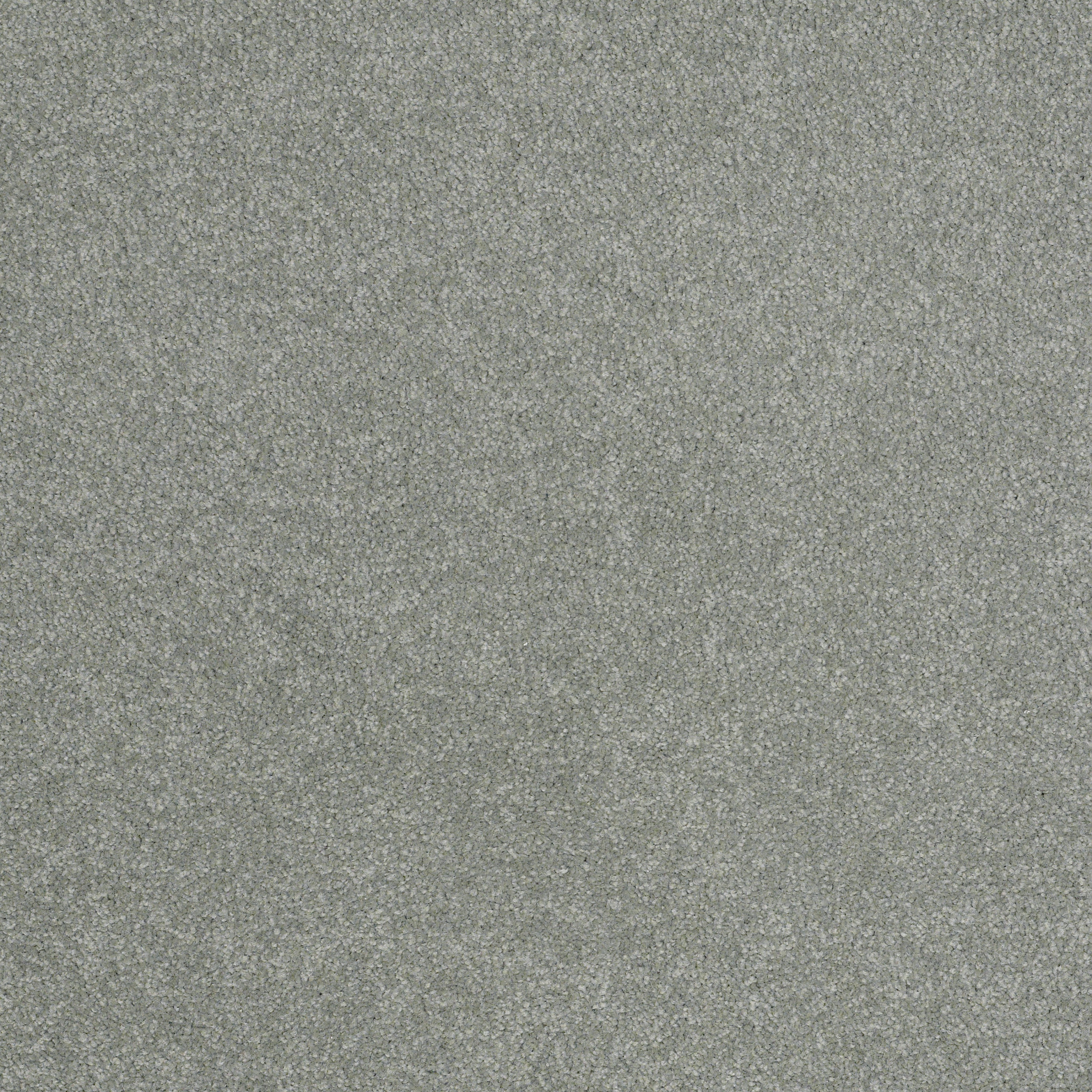 SHINGLE CREEK III 12' TROPICAL SURF MAIN