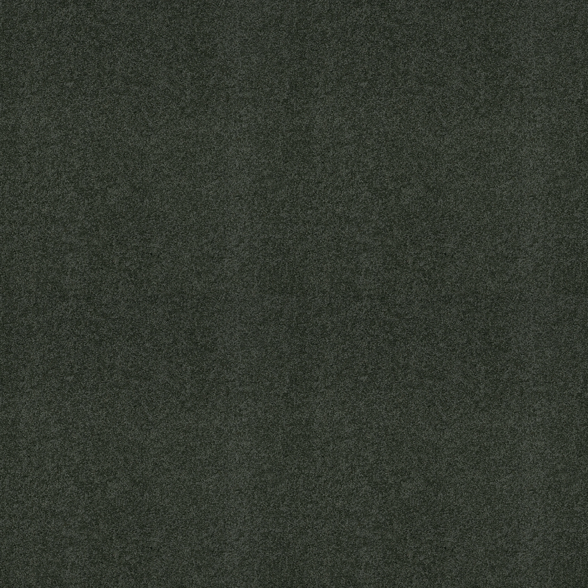 MY DESTINATION III PEACEFUL GARDEN MAIN