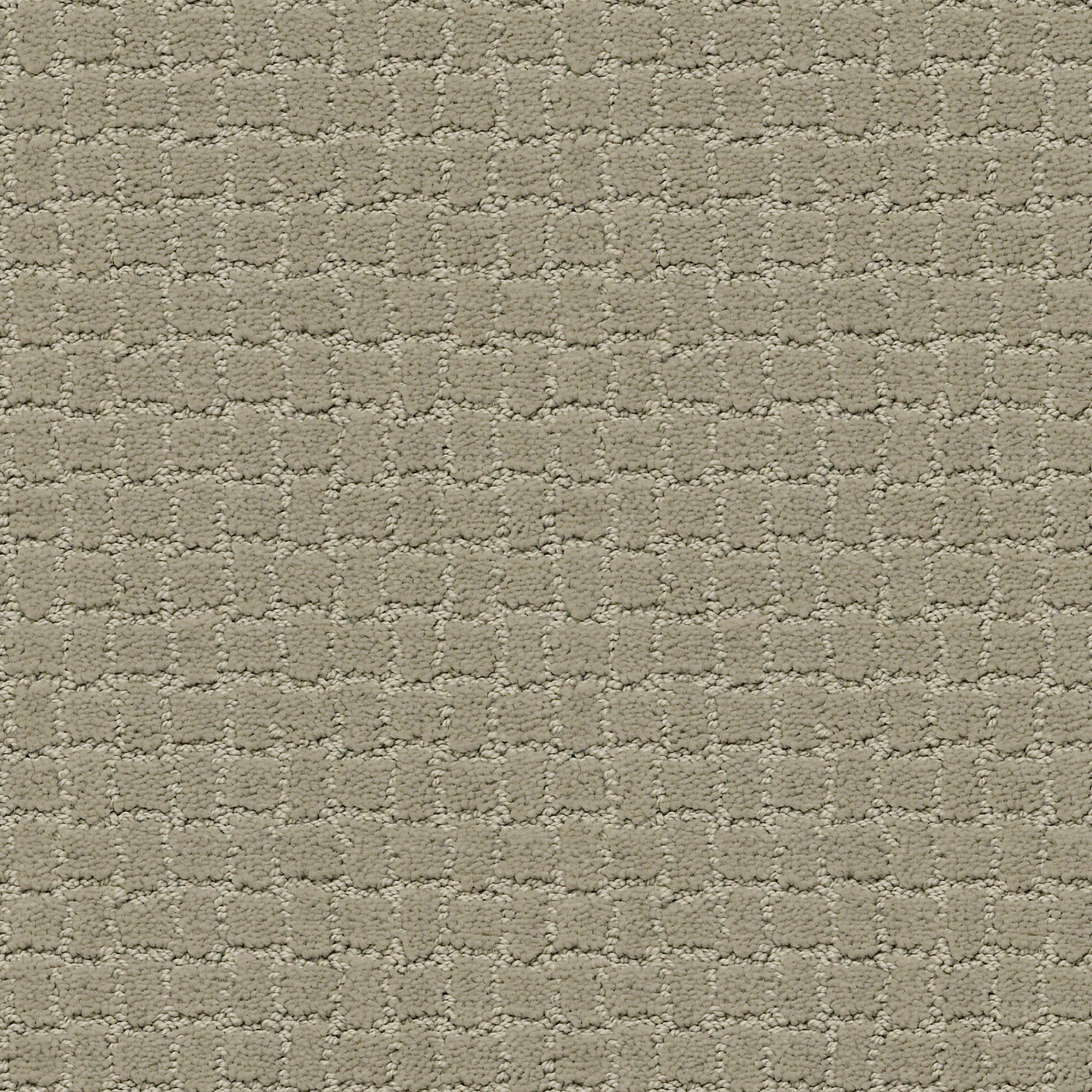 PAWSTRUCK GRAY MIRAGE MAIN