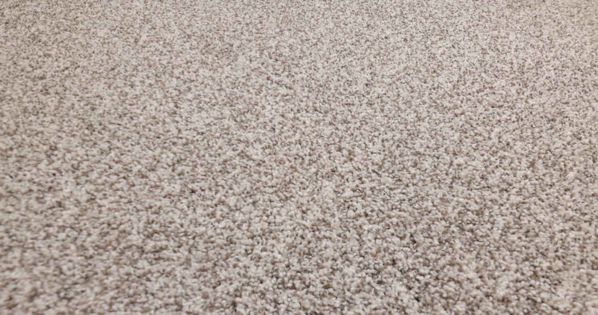 VIA NOVA PASHMINA 360PROD