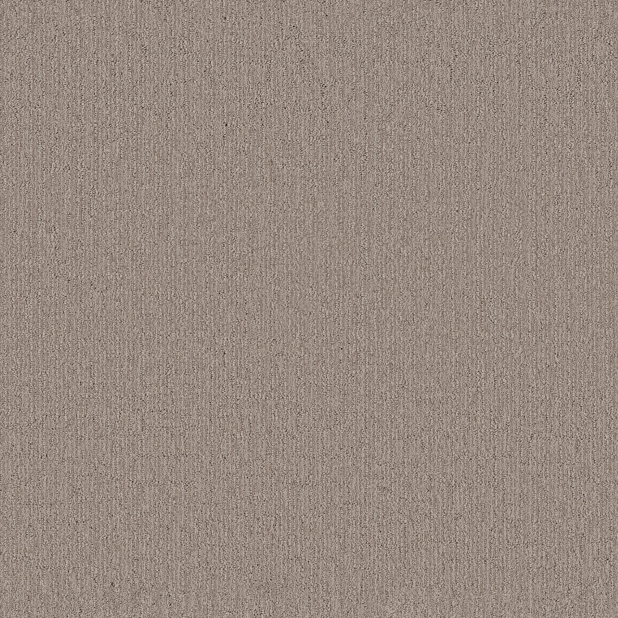 WANDERER PLAINS MAIN