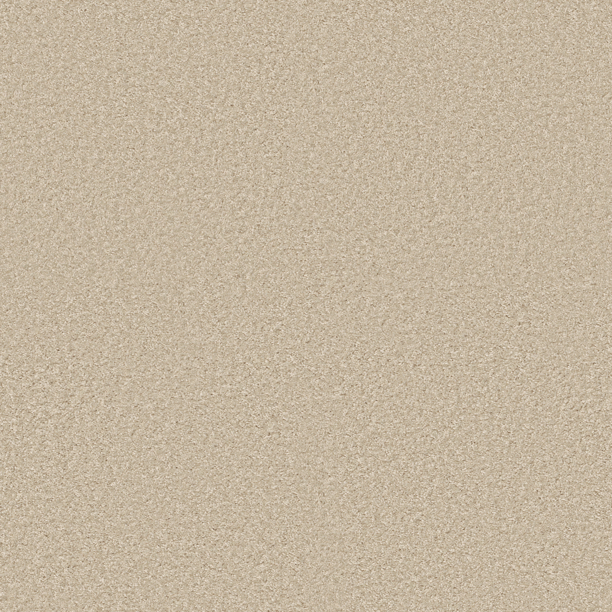 DYNAMIC WORLD 12 (S) VELLUM MAIN