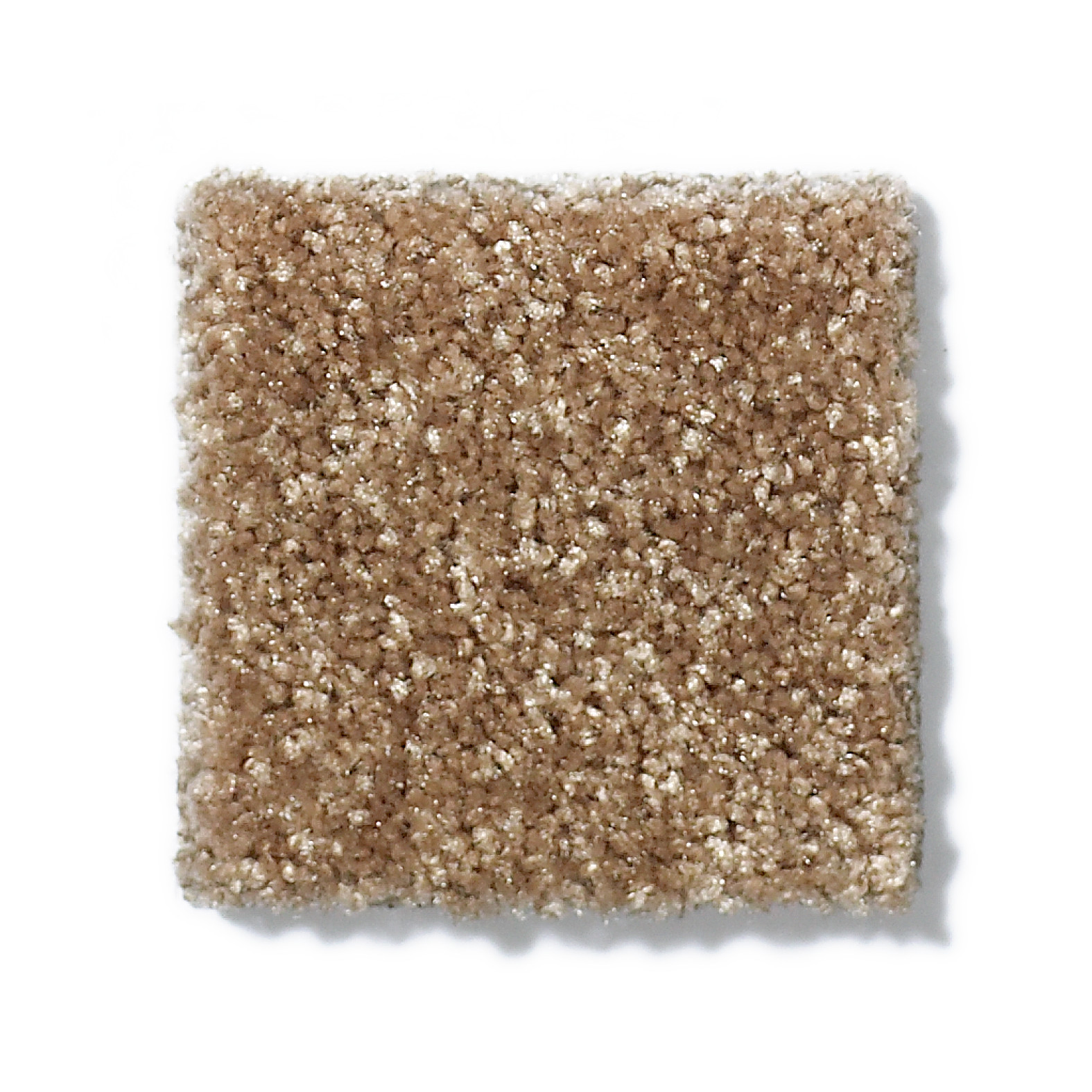 VICTORY BANNISTER SWATCH