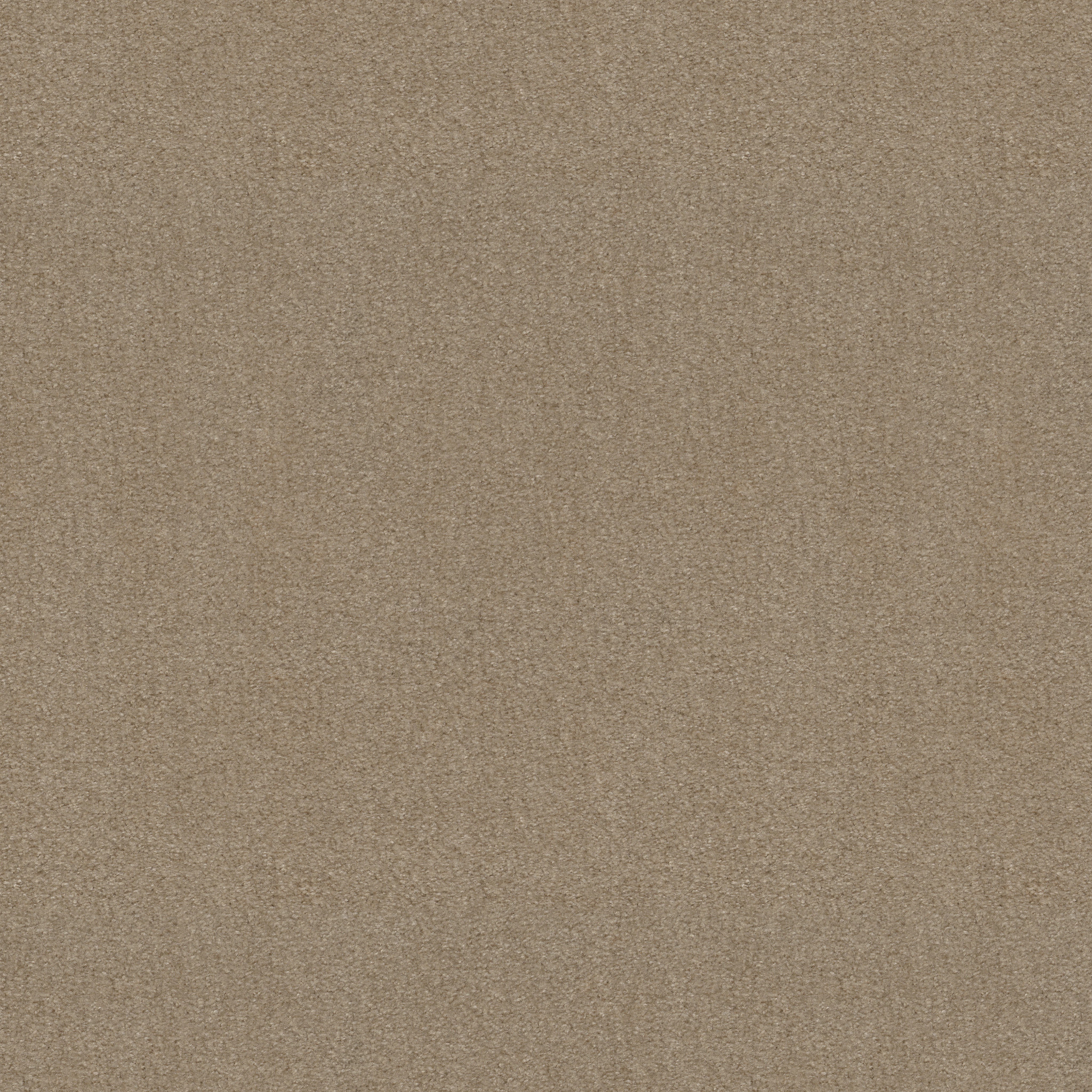 HEROIC WINDSOR TAN MAIN