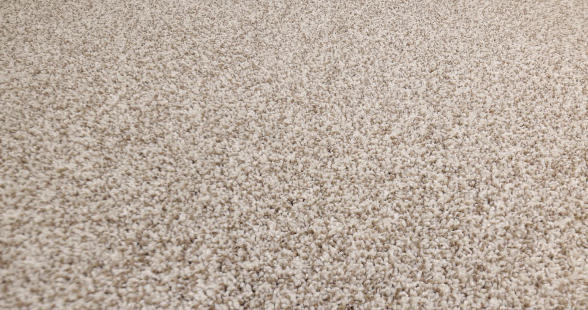 VIA NOVA MEDITATION 360PROD