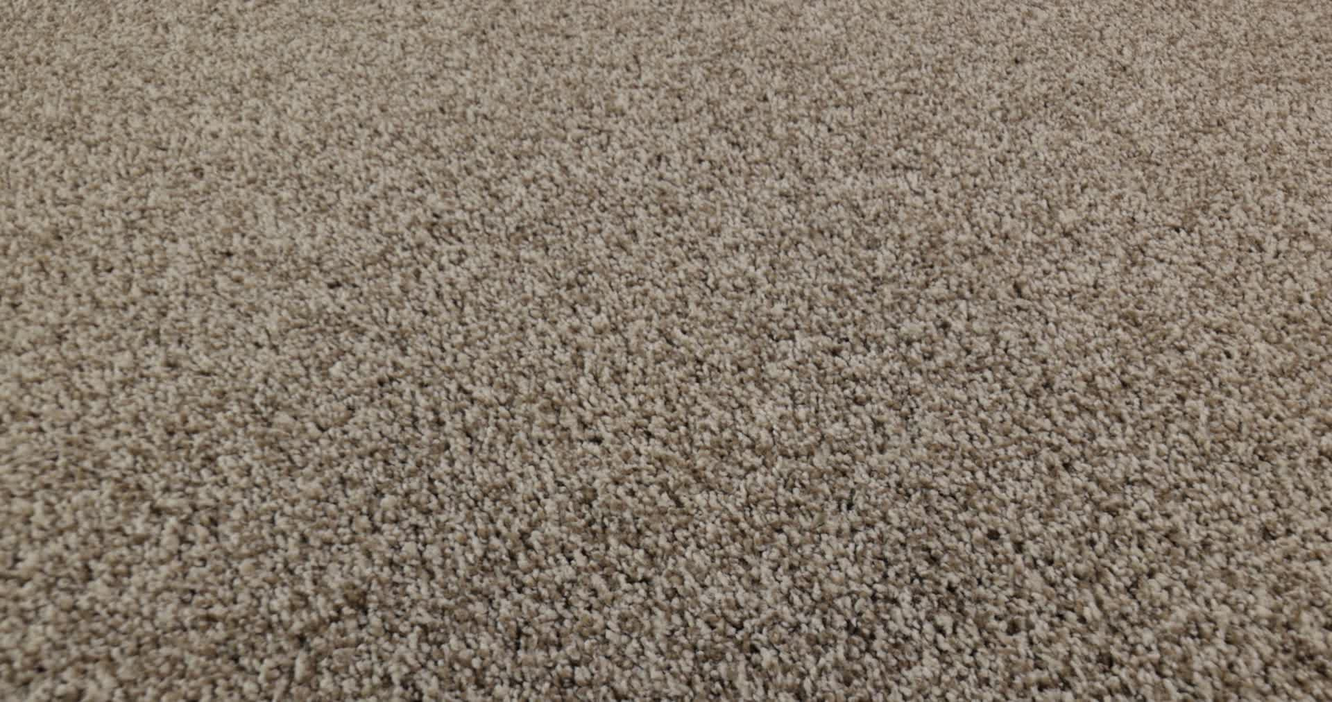 BOSSA NOVA PASHMINA 360PROD