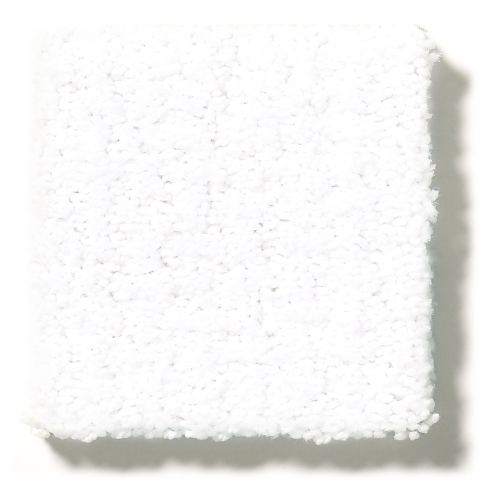 WARM MEMORIES WEDDING DAY SWATCH