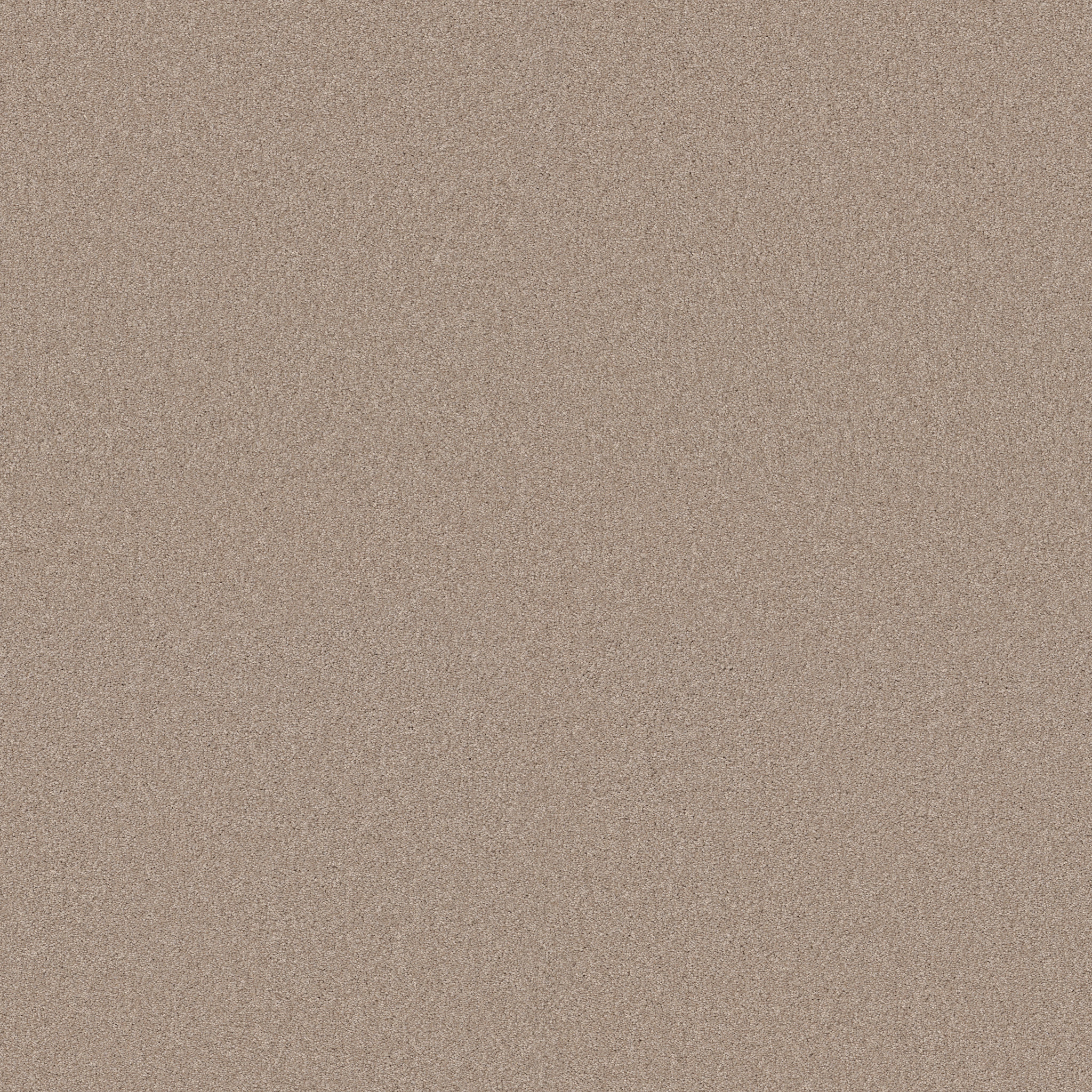 Find your comfort I - Solid DINNER WITH FRI MAIN