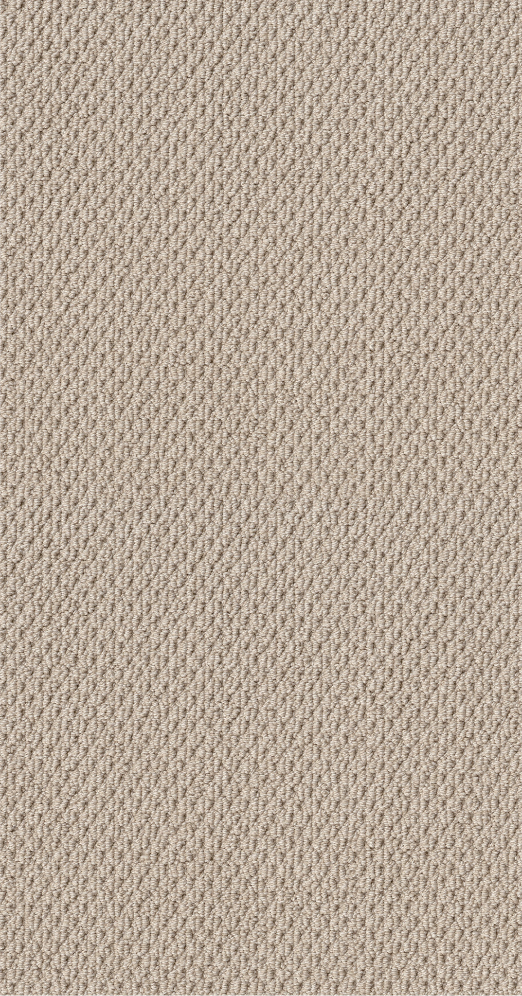 NATURALISTIC SUN KISSED MAIN