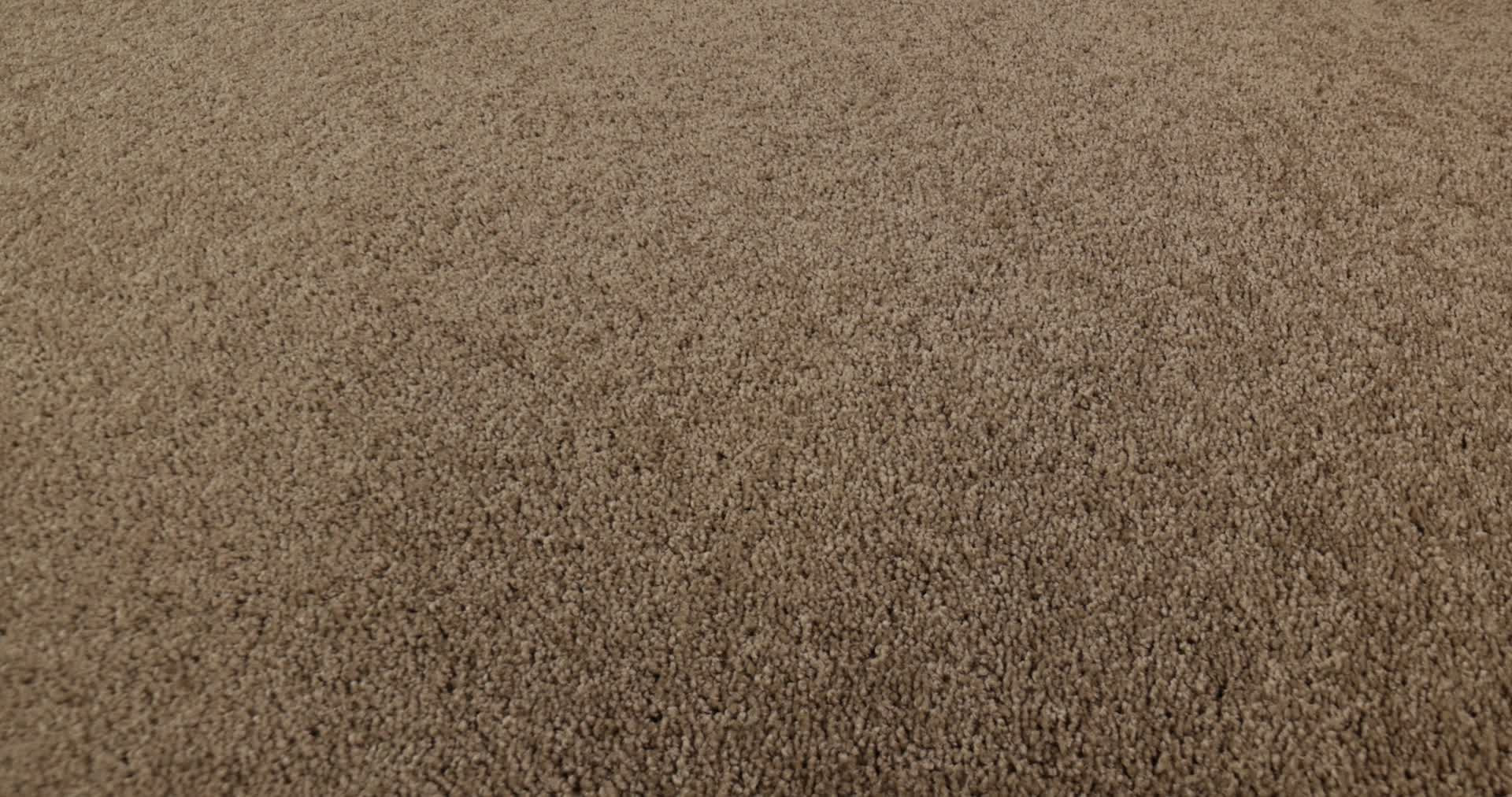 LAGUNA BEACH ACORN 360PROD