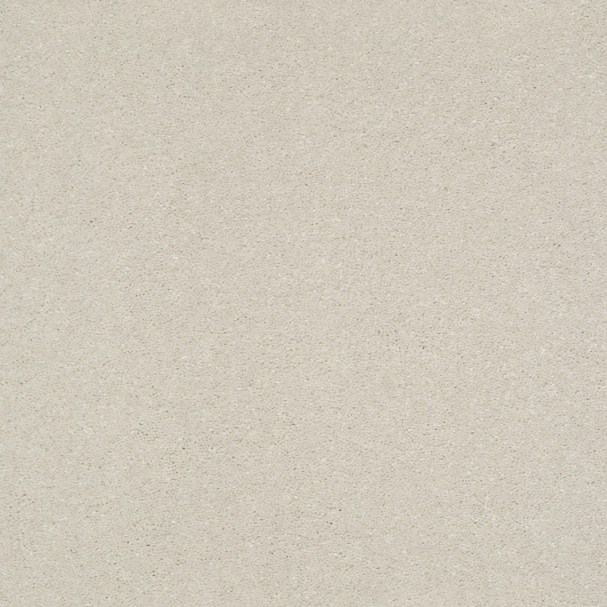 WELL GROUNDED II 15 MINIMALIST MAIN