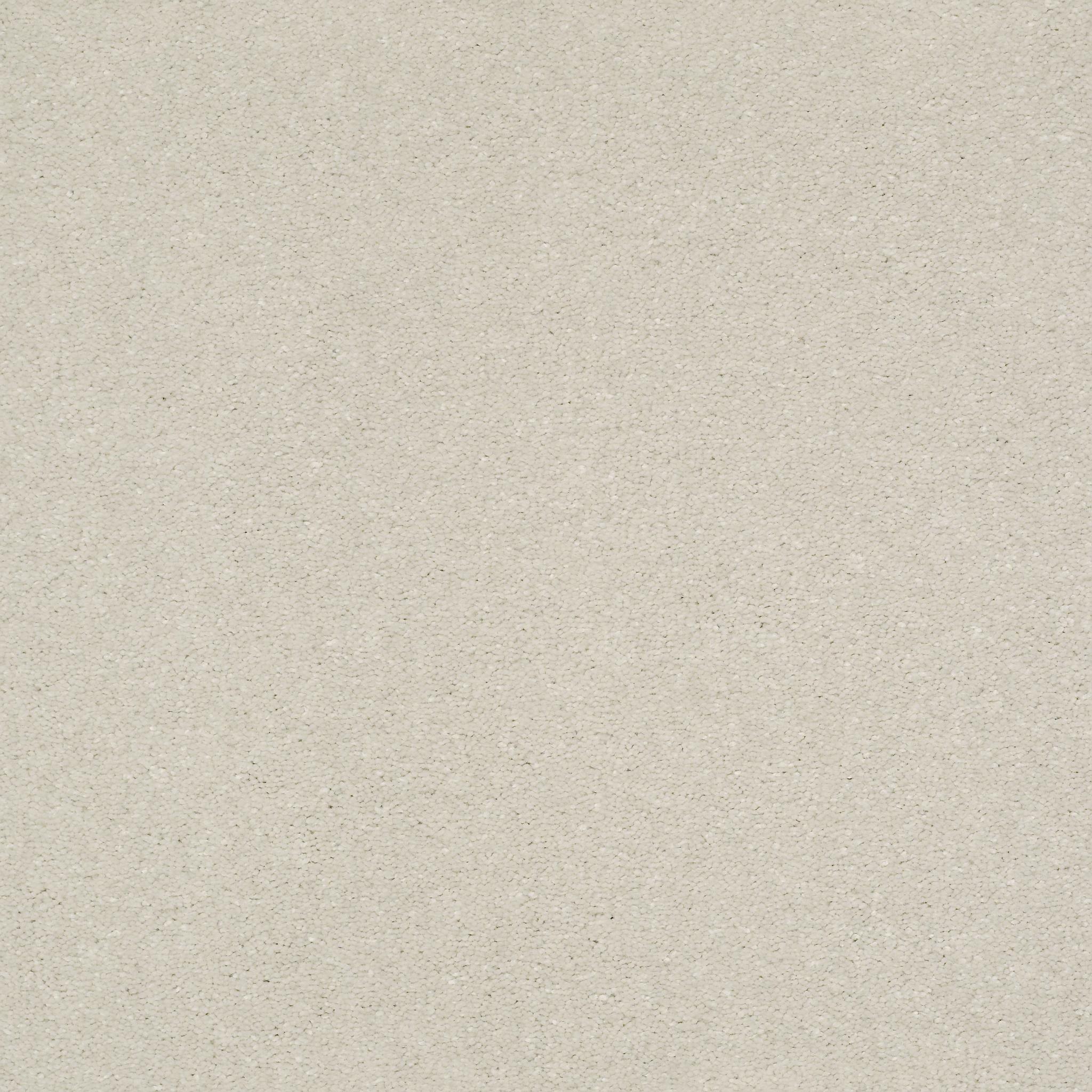 Solidify II 15' in Minimalist