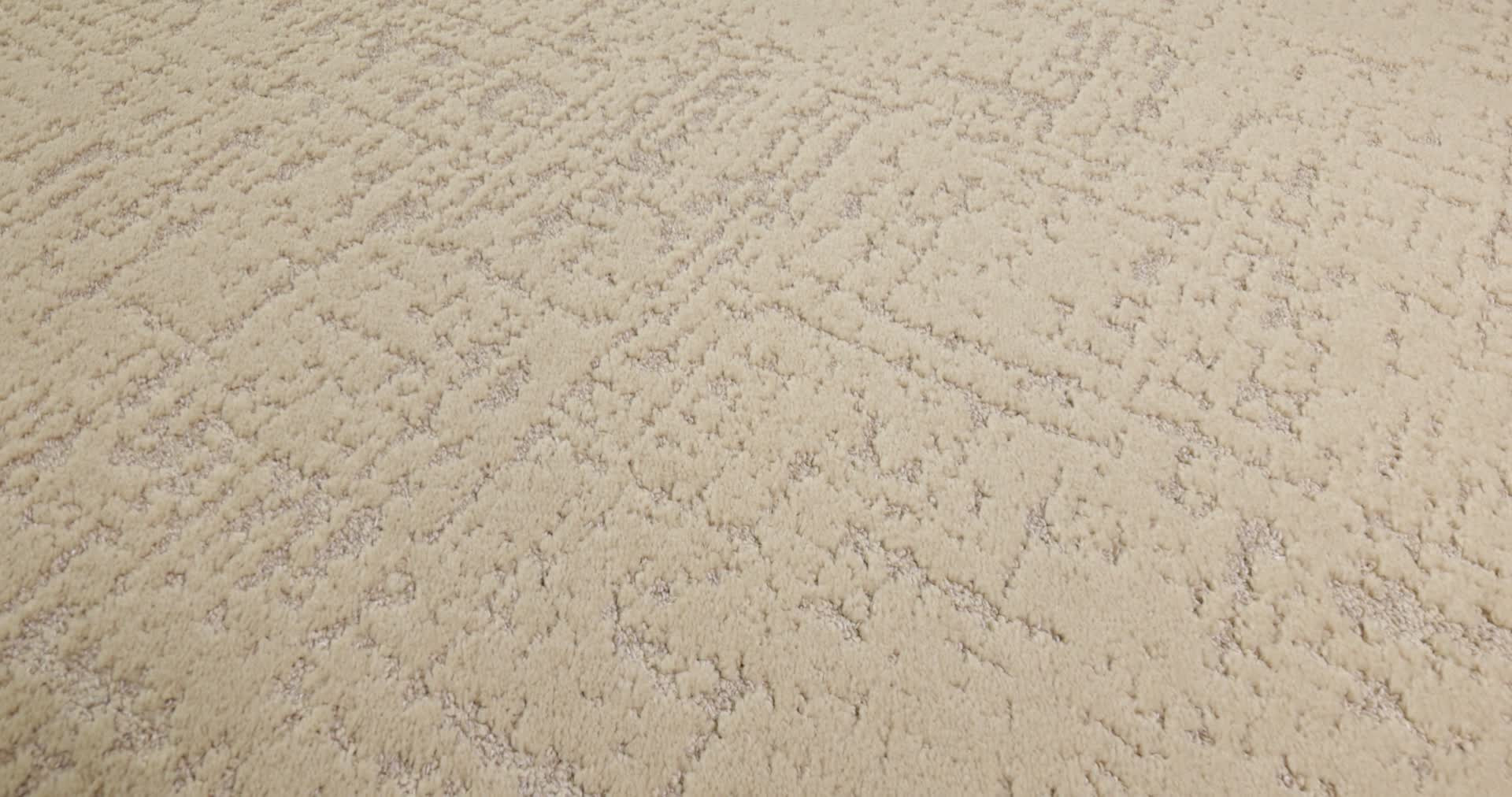 SINCERE FOCUS CASHEW 360PROD